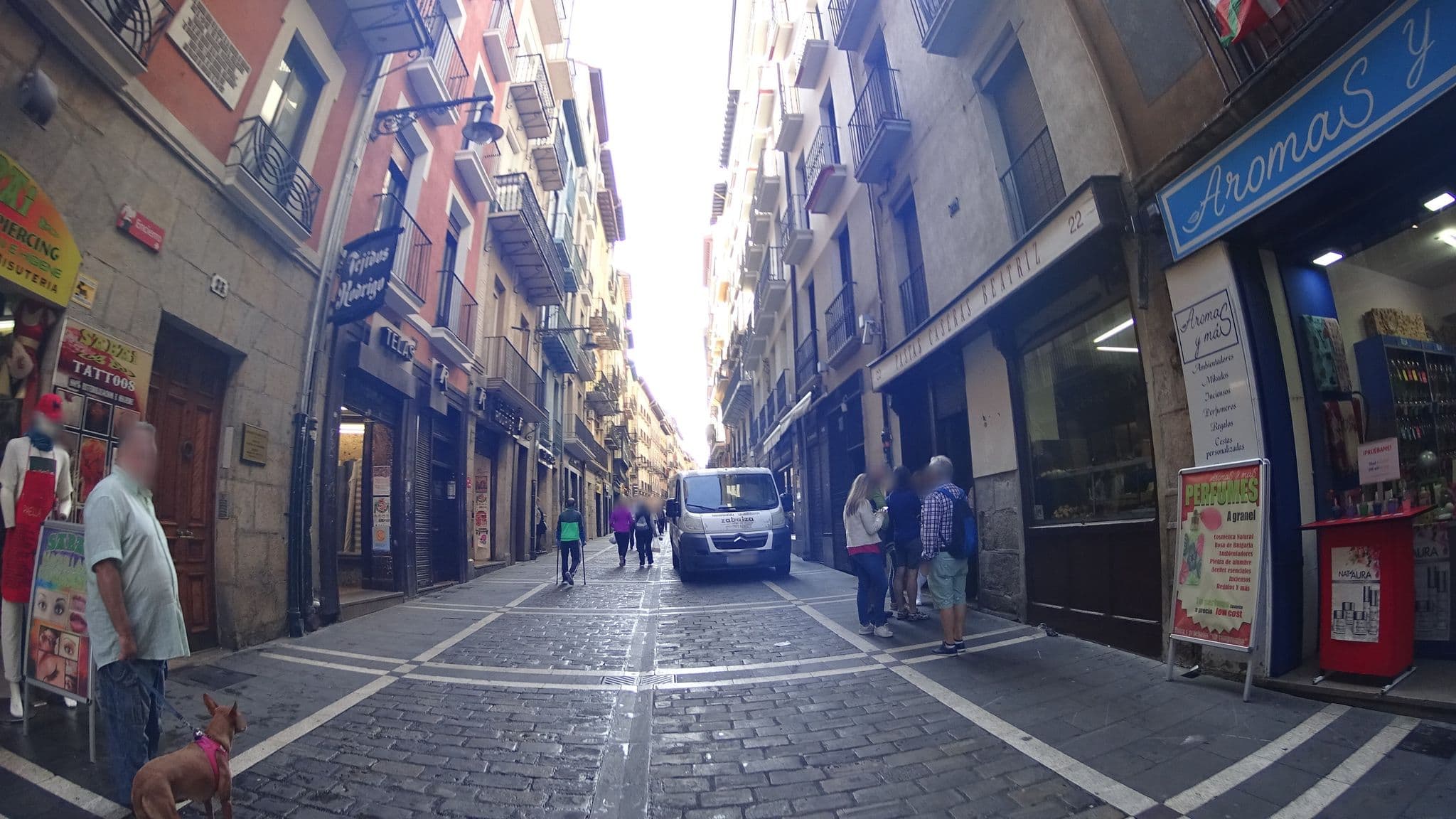 Street view near Aloha Apartamentos, Pamplona — © robertogeb (CC BY-SA · Mapillary)