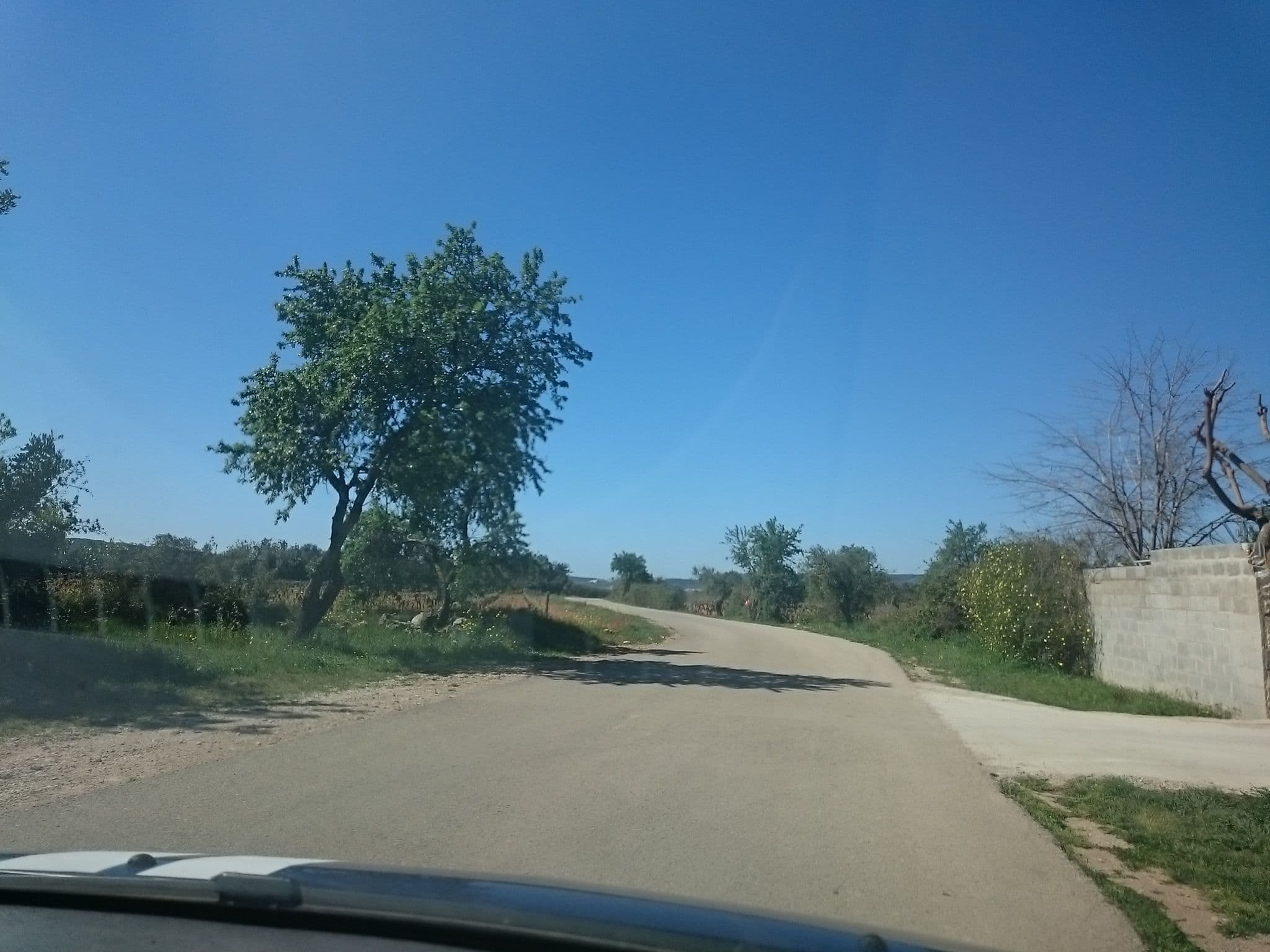 Street view near Área de Bellvei, Santa Oliva — © yopaseopor (CC BY-SA · Mapillary)
