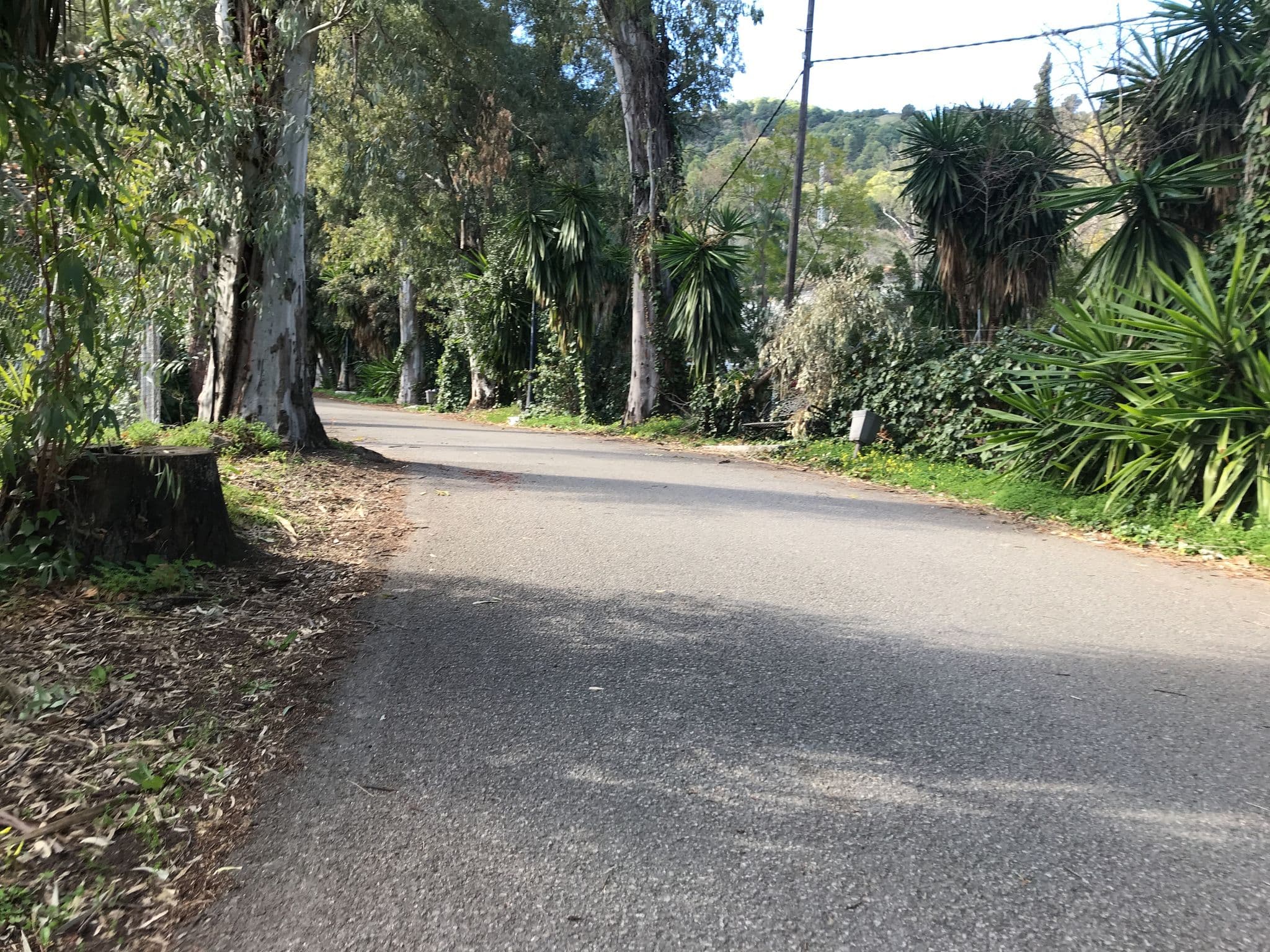 Street view near Hotel Balneario, Tolox — © cmdigital (CC BY-SA · Mapillary)
