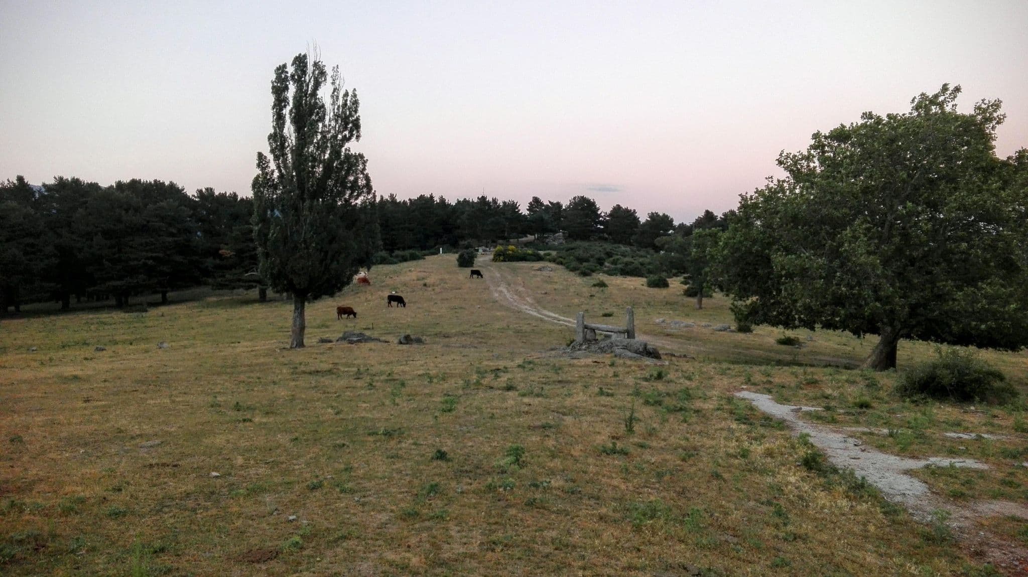 Street view near Campamentos de la Peñota, Cercedilla — © borsalino (CC BY-SA · Mapillary)