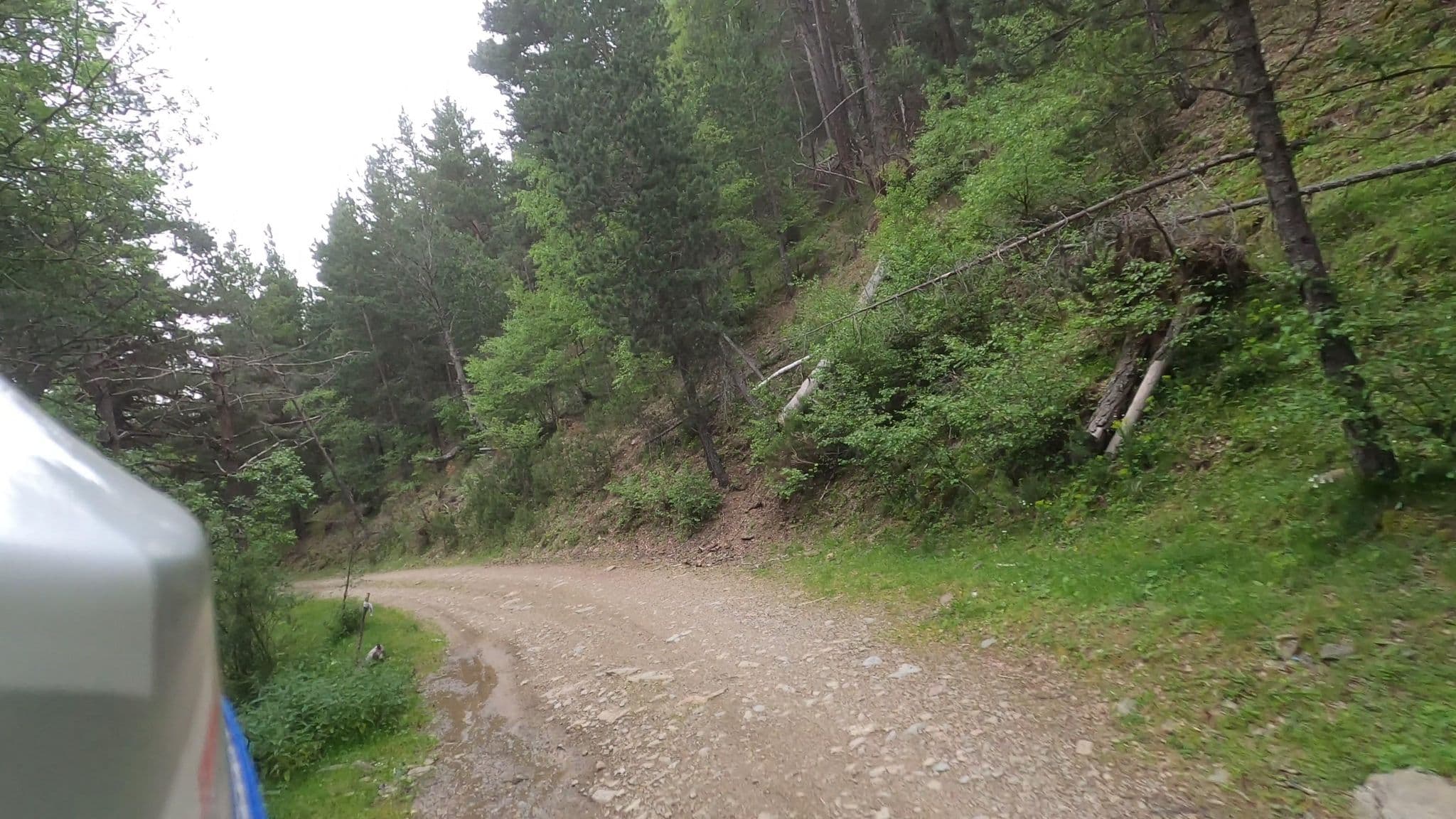 Street view near Refugi forestal del Prat Gran, Sort — © Viajar_en_Moto (CC BY-SA · Mapillary)