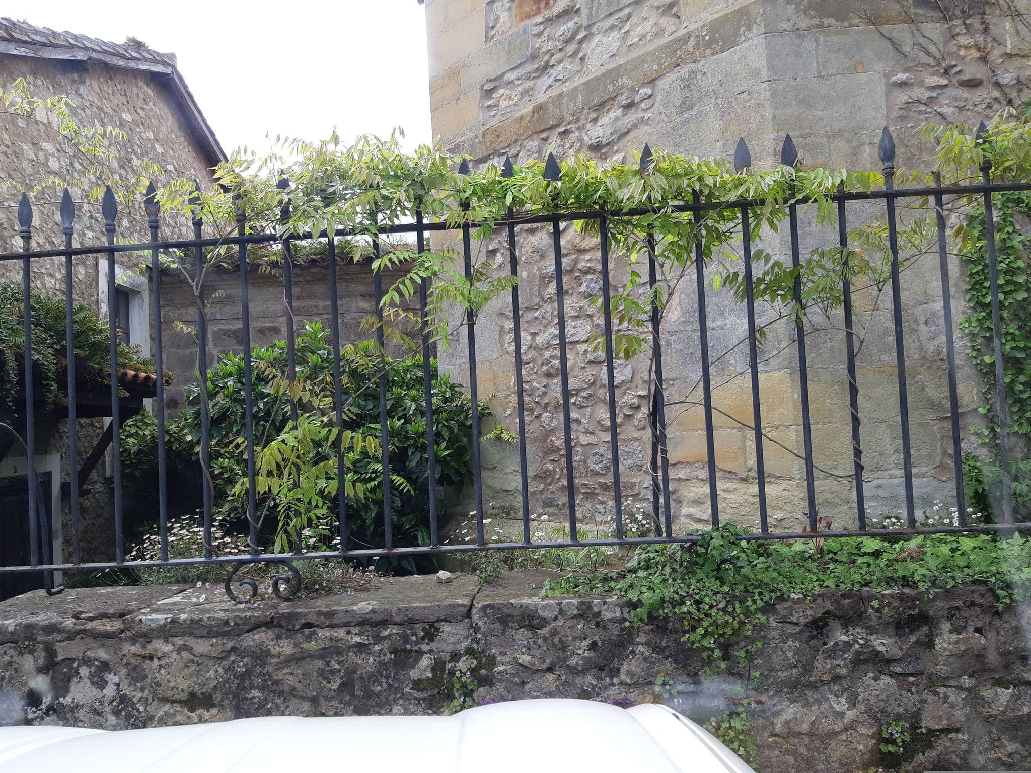 Street view near Albergue El Convento, Santillana — © geo50 (CC BY-SA · Mapillary)