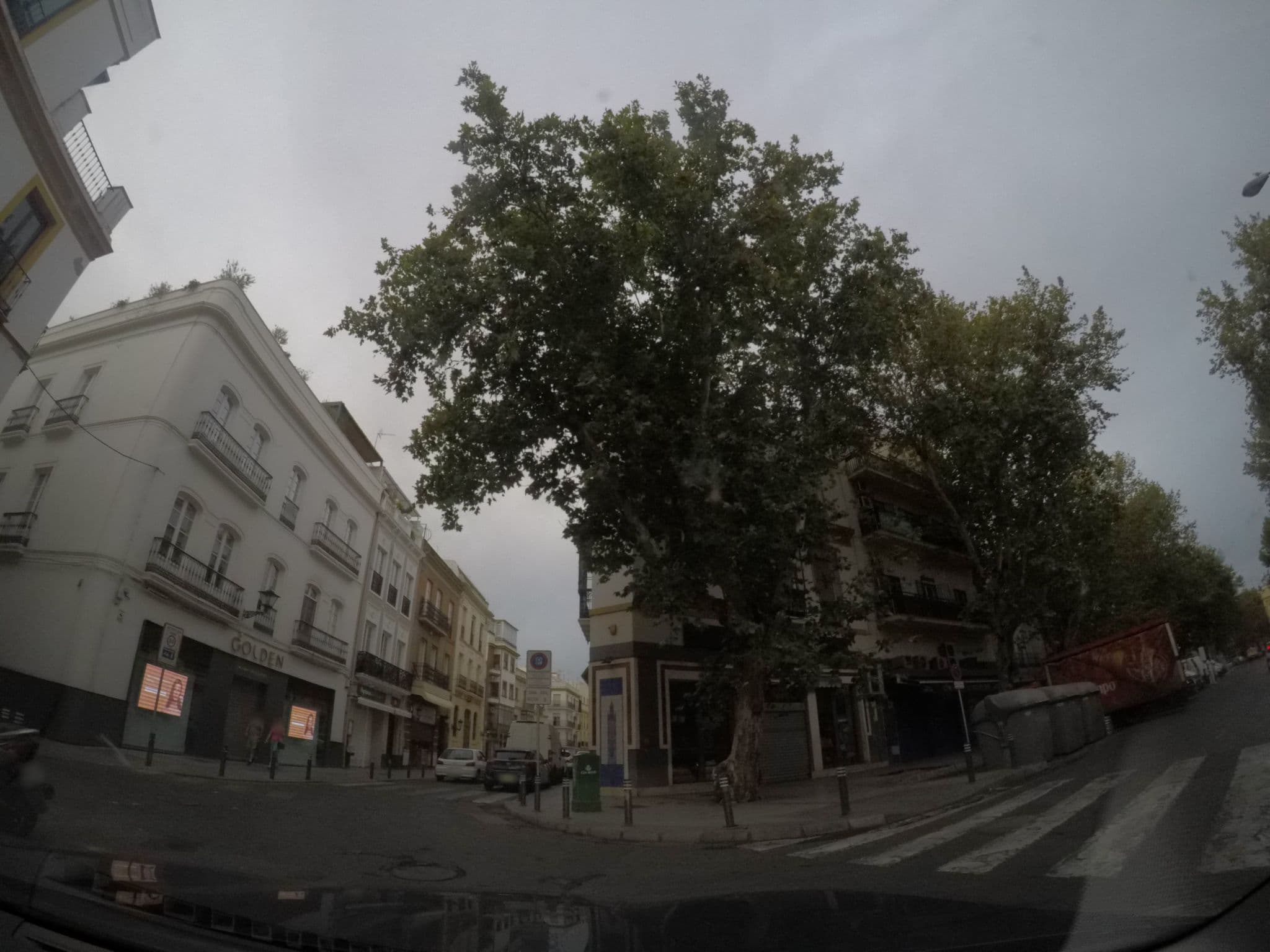 Street view near Apartamentos Adriano, Sevilla — © agamemnon (CC BY-SA · Mapillary)