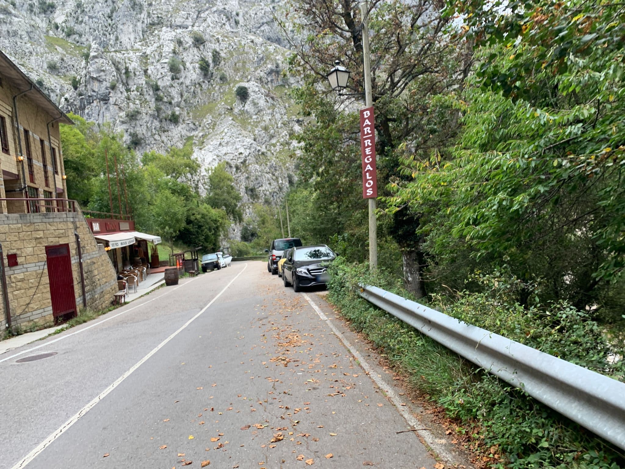Street view near Mirador de Cabrales, Carreña