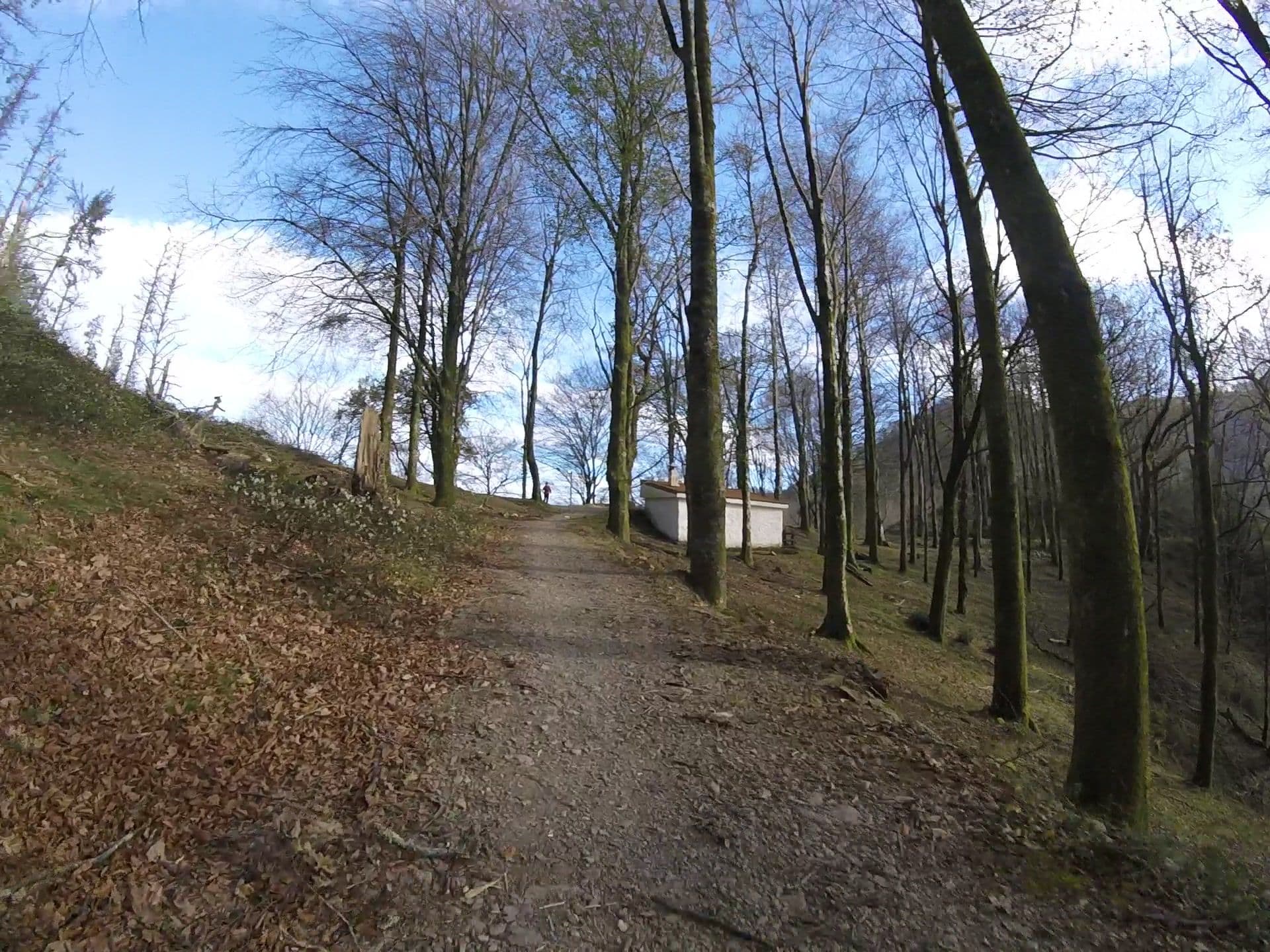 Street view near Irubietako borda, Errenteria — © mikelo (CC BY-SA · Mapillary)