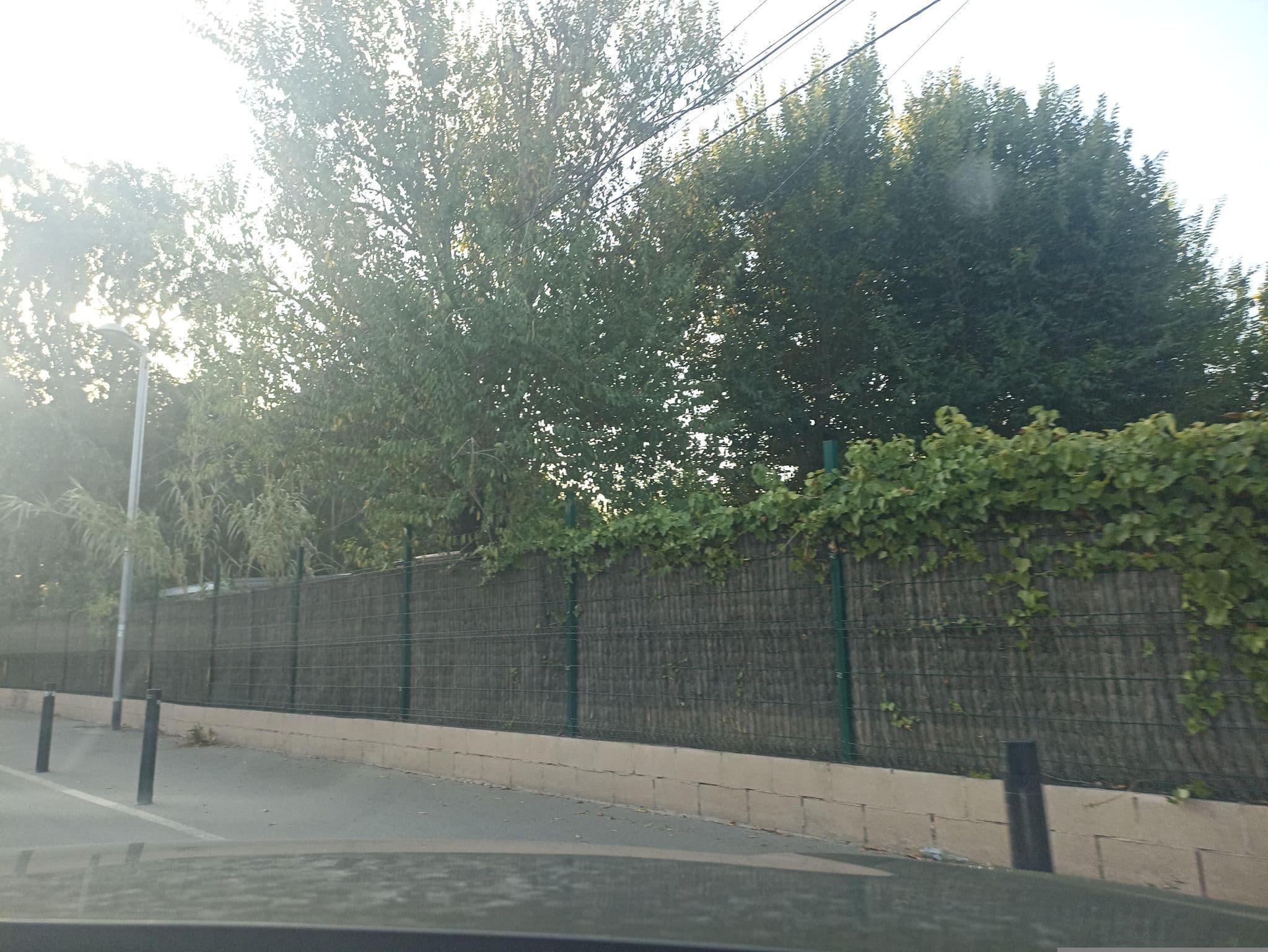 Street view near Càmping Caballo de Mar, Pineda de Mar — © toniserra (CC BY-SA · Mapillary)