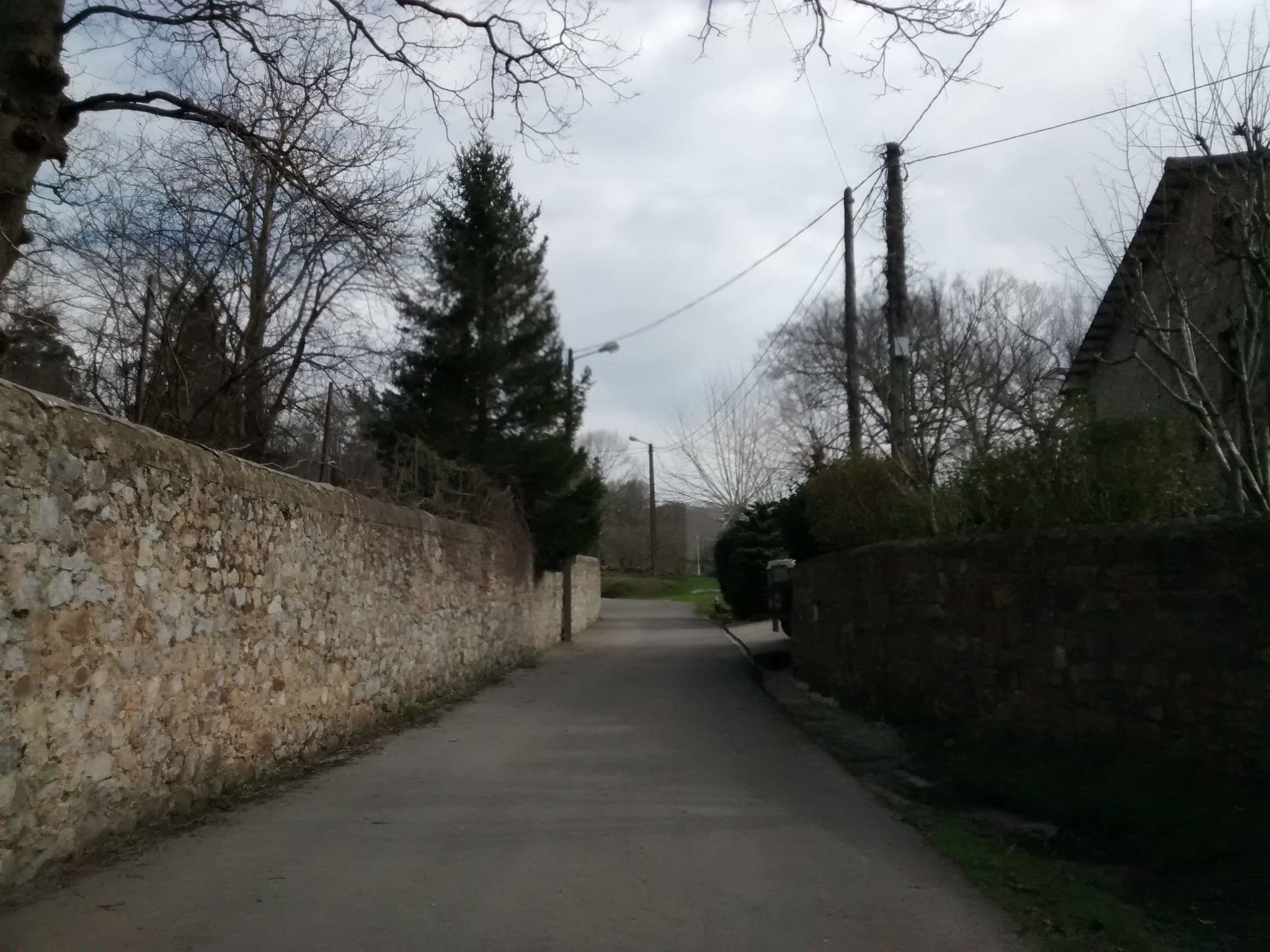 Street view near Posada El Remanso de Triviecu, Solórzano — © egofer (CC BY-SA · Mapillary)