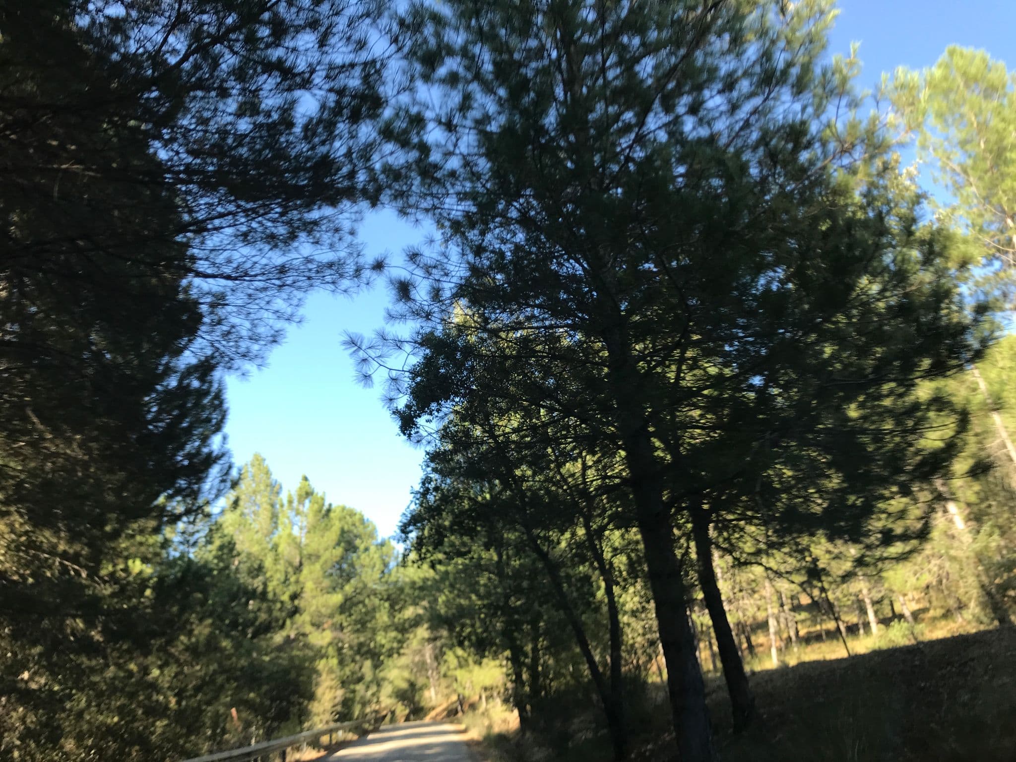 Street view near Camping Puente de las Herrerías, La Iruela — © pedromartinez (CC BY-SA · Mapillary)