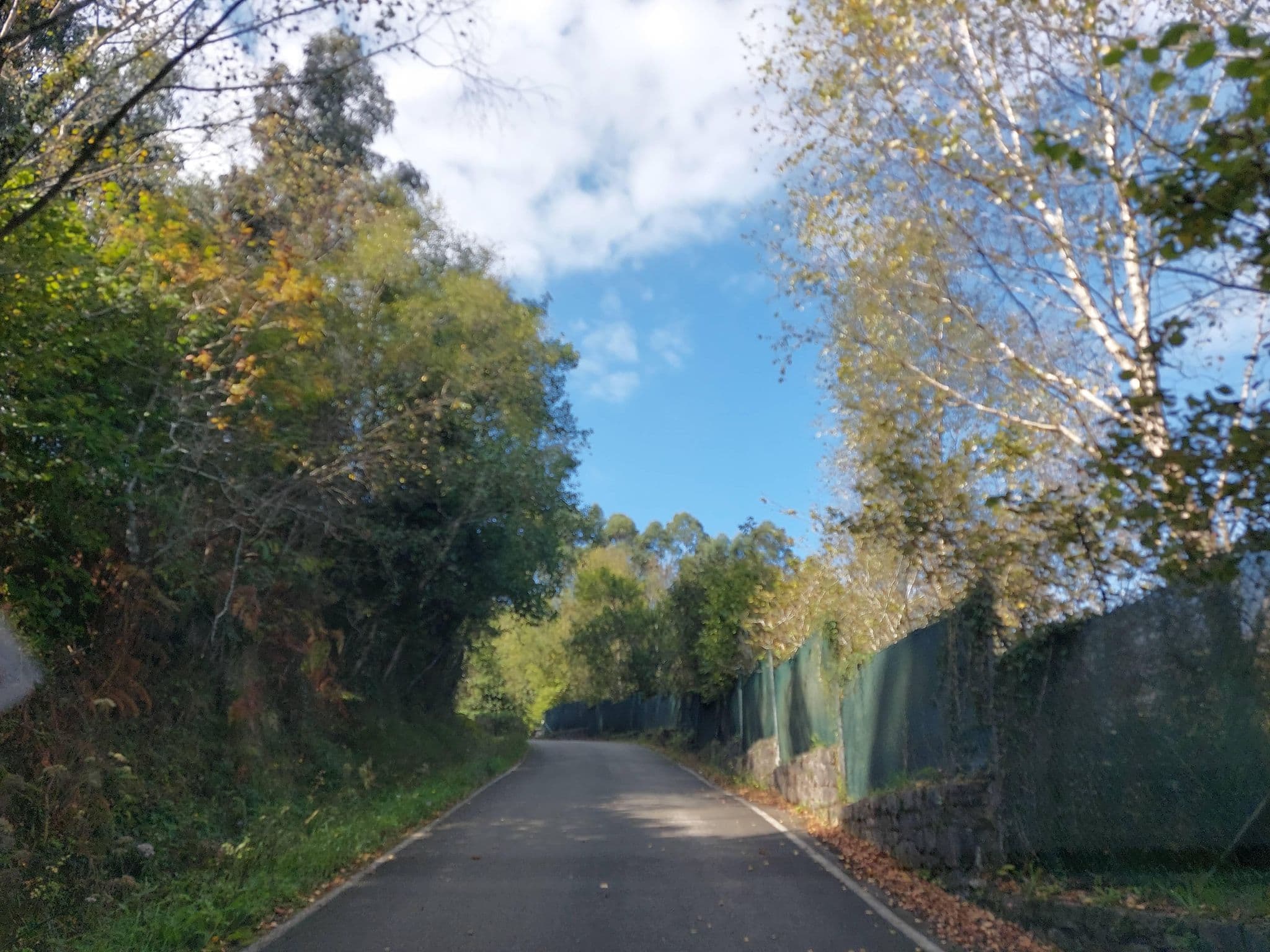 Street view near Camping Playa de Vega, Ribadesella — © 5rmft (CC BY-SA · Mapillary)