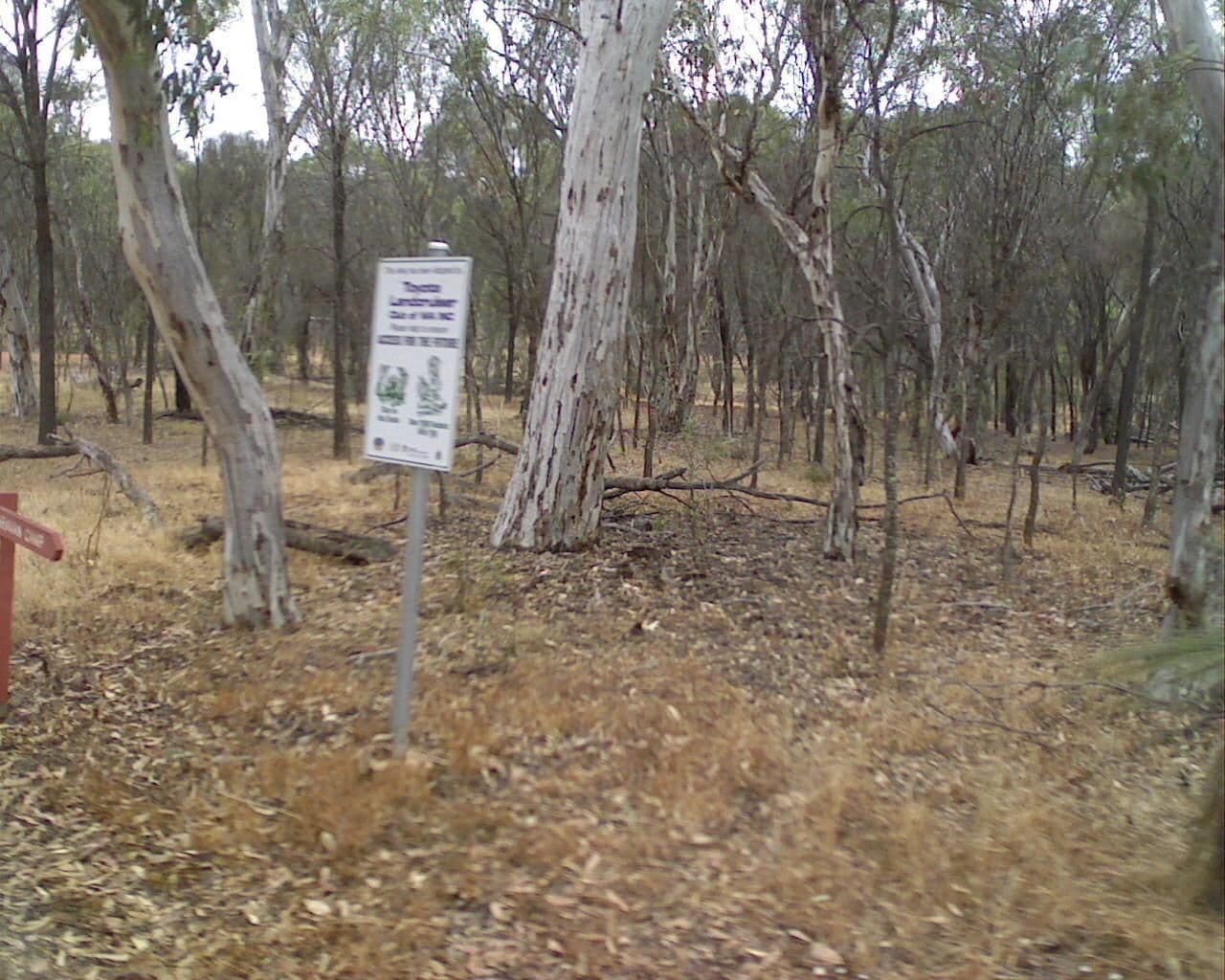 Street view near Congelin Campground, Narrogin — © bob3bob3 (CC BY-SA · Mapillary)