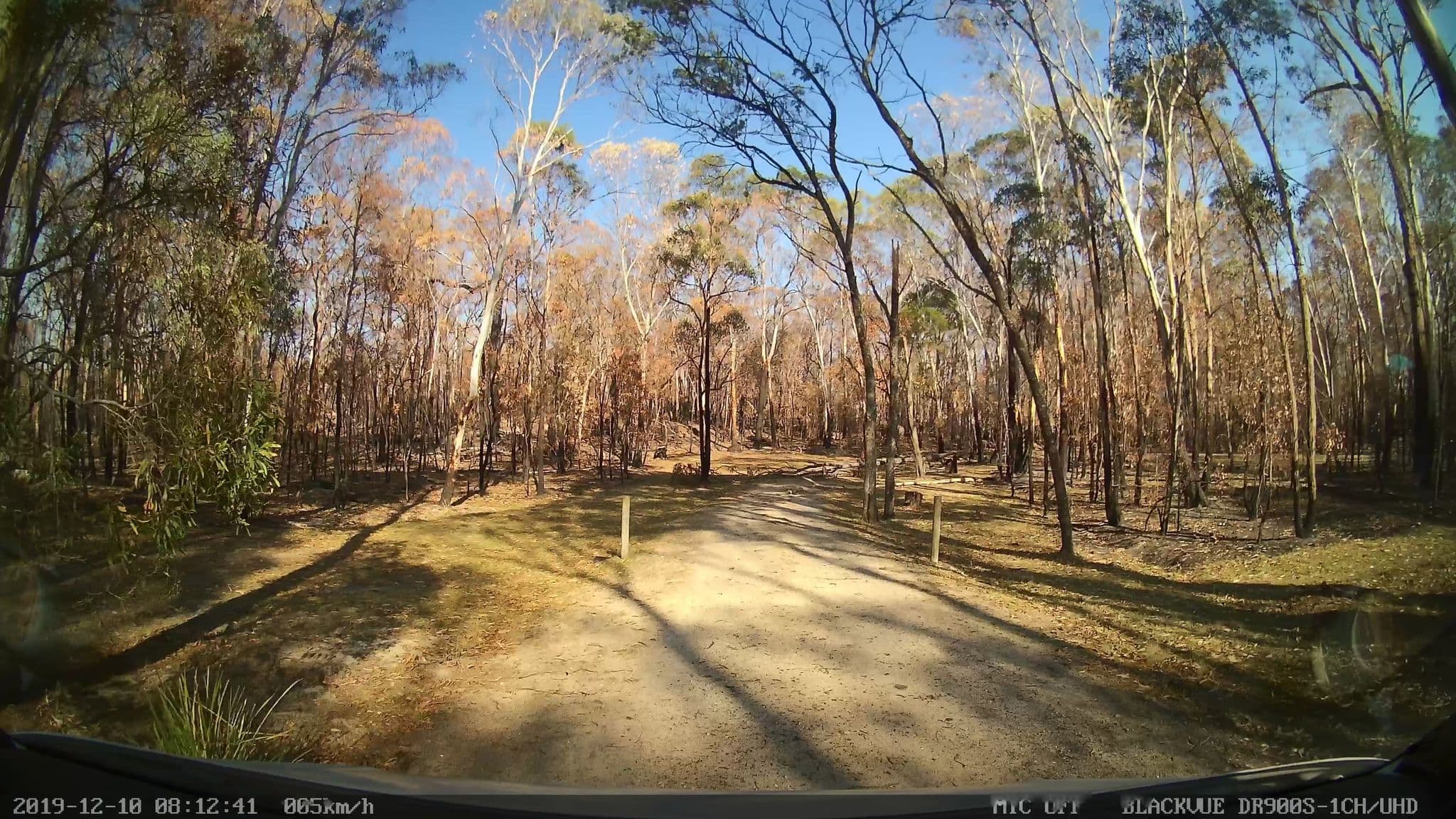Street view near Native Dog Creek Camping area, Dorrigo — © bob3bob3 (CC BY-SA · Mapillary)