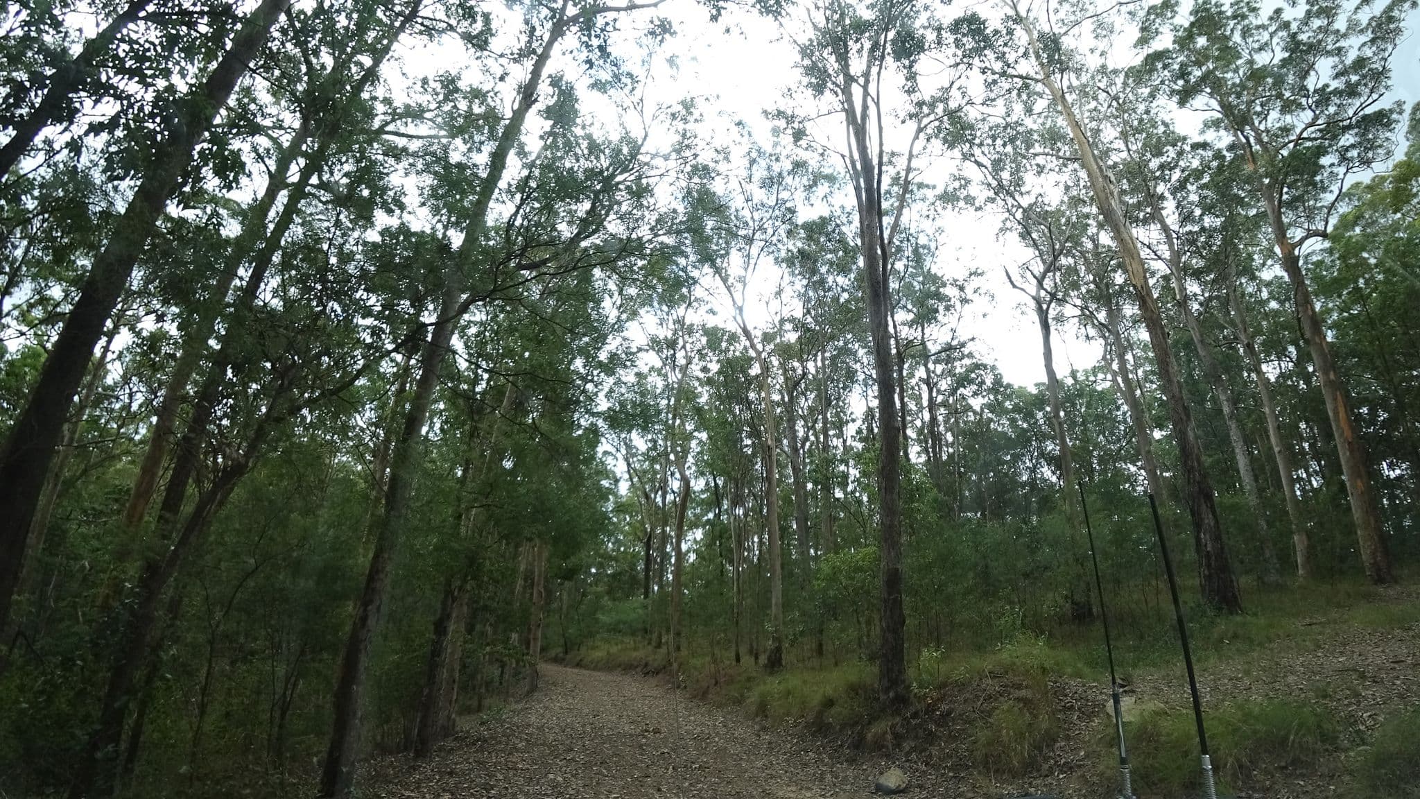Street view near Dundas Road Bush Camp, Highvale — © vagrant42 (CC BY-SA · Mapillary)