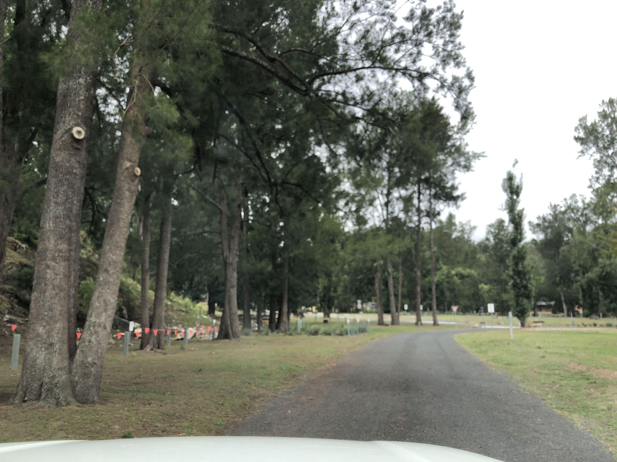 Street view near Wombeyan Caves Campground, Marulan — © jlstudio (CC BY-SA · Mapillary)