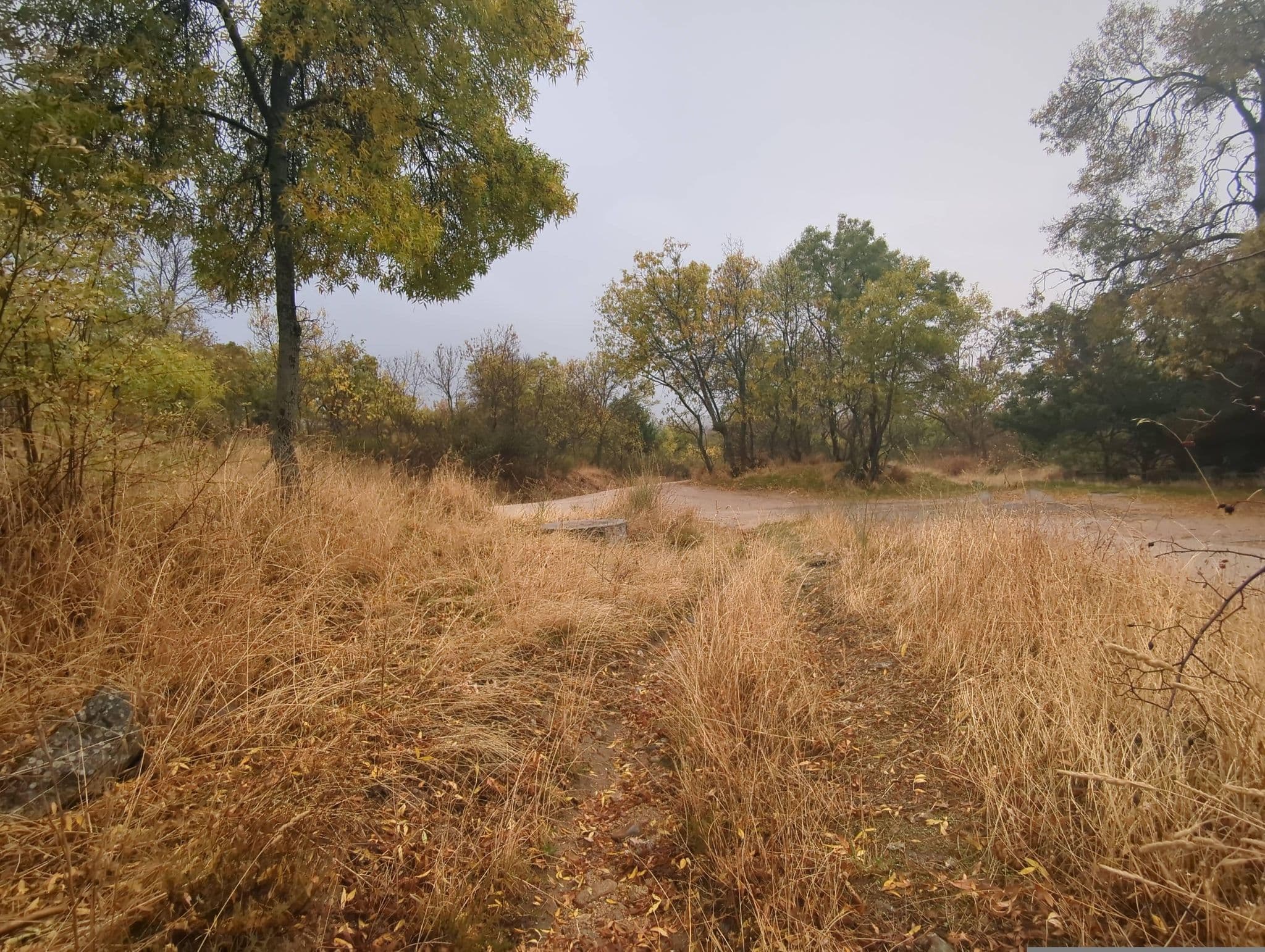 Street view near Casona de Navalmedio, Cercedilla — © miguel_andrade (CC BY-SA · Mapillary)