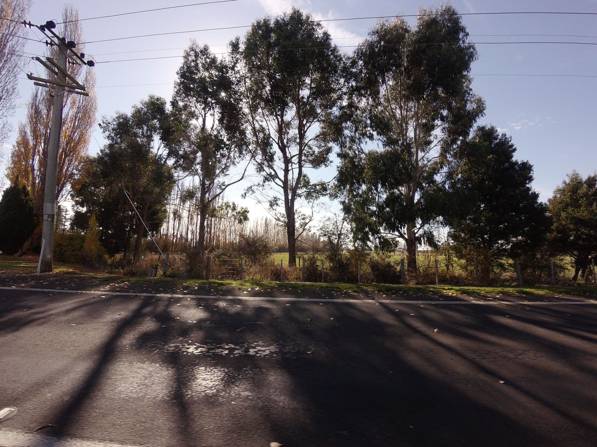 Street view near Hagley Rest Area, Westbury — © tastrax (CC BY-SA · Mapillary)