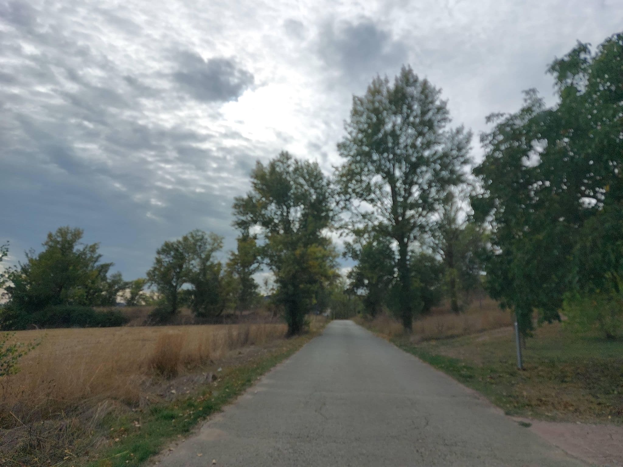 Street view near Albergue, Briviesca — © 5rmft (CC BY-SA · Mapillary)