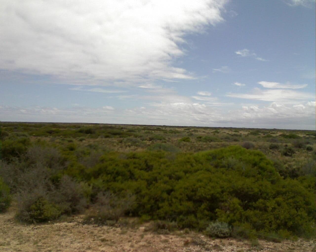 Street view near 52k Peg Rest Area, Ceduna — © bob3bob3 (CC BY-SA · Mapillary)