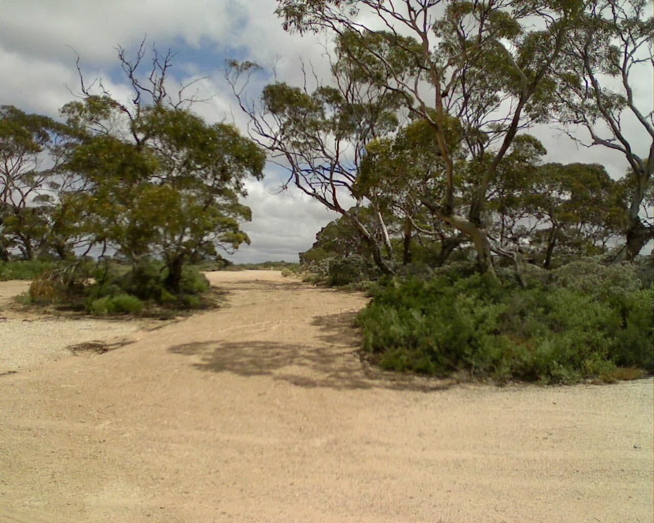 Street view near 222k Peg Rest Area, Ceduna — © bob3bob3 (CC BY-SA · Mapillary)