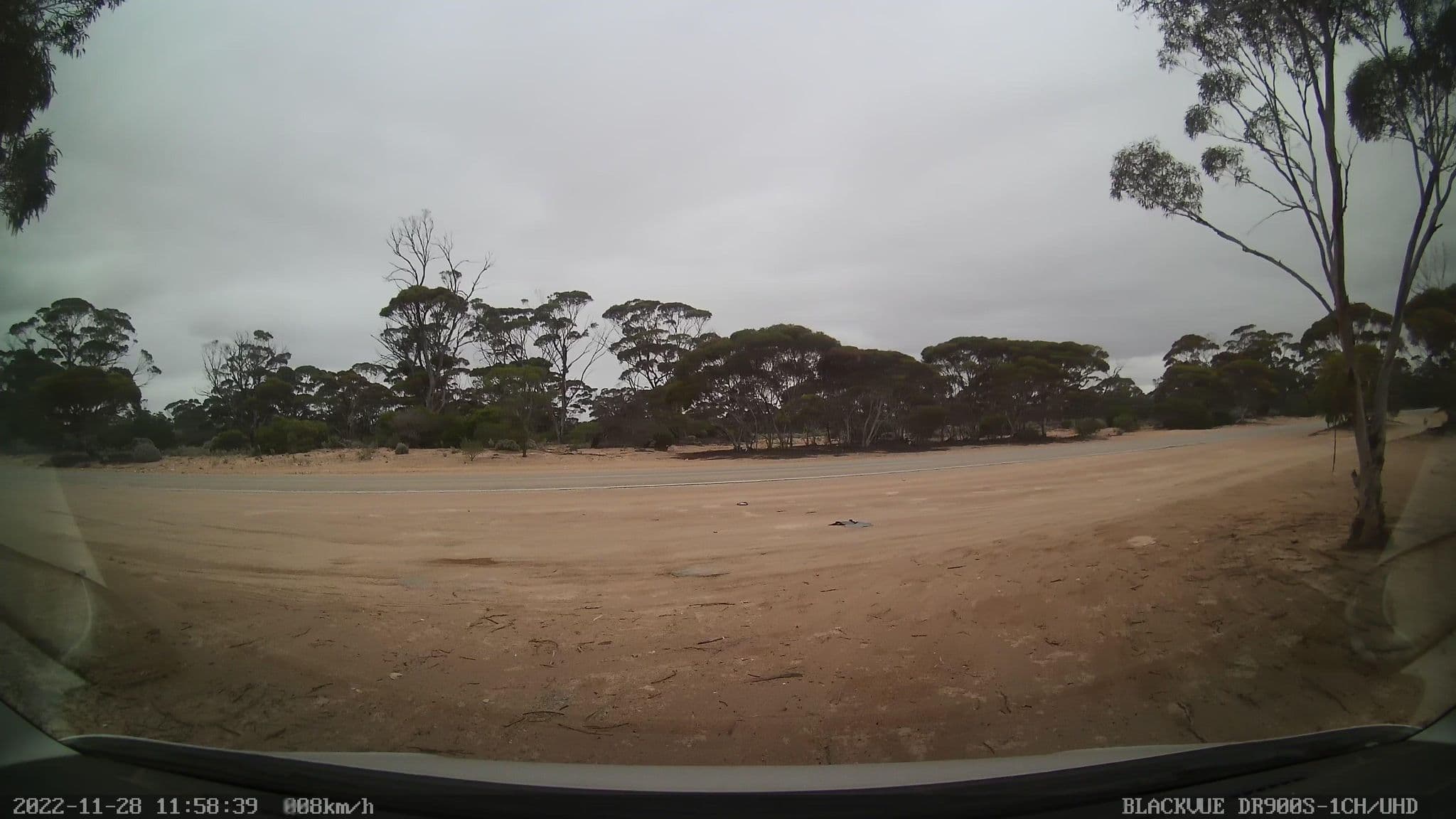 Street view near Kidnippy Rest Area, Ceduna — © bob3bob3 (CC BY-SA · Mapillary)