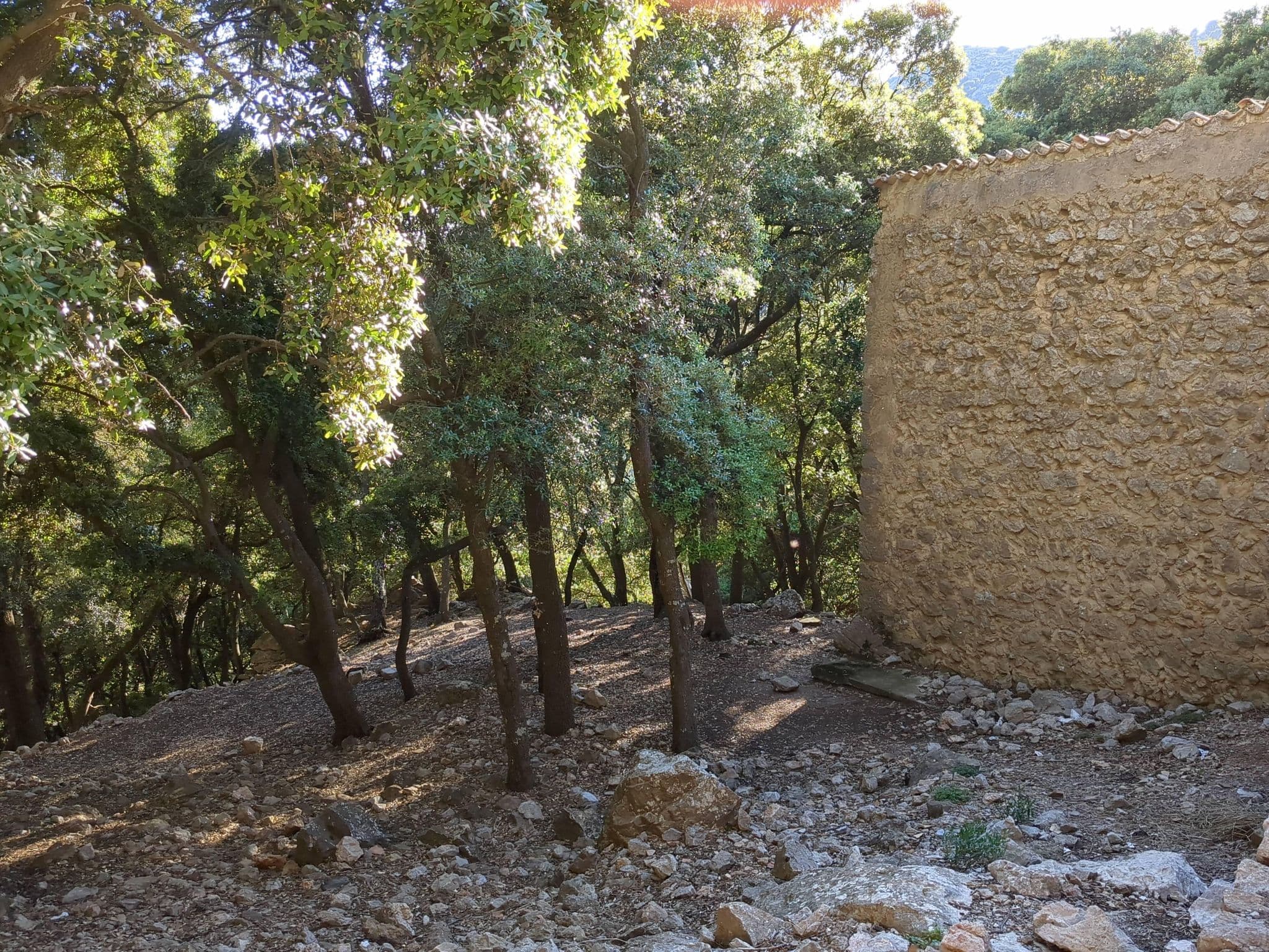 Street view near Refugi de son Moragues, Valldemossa — © uchelsj (CC BY-SA · Mapillary)