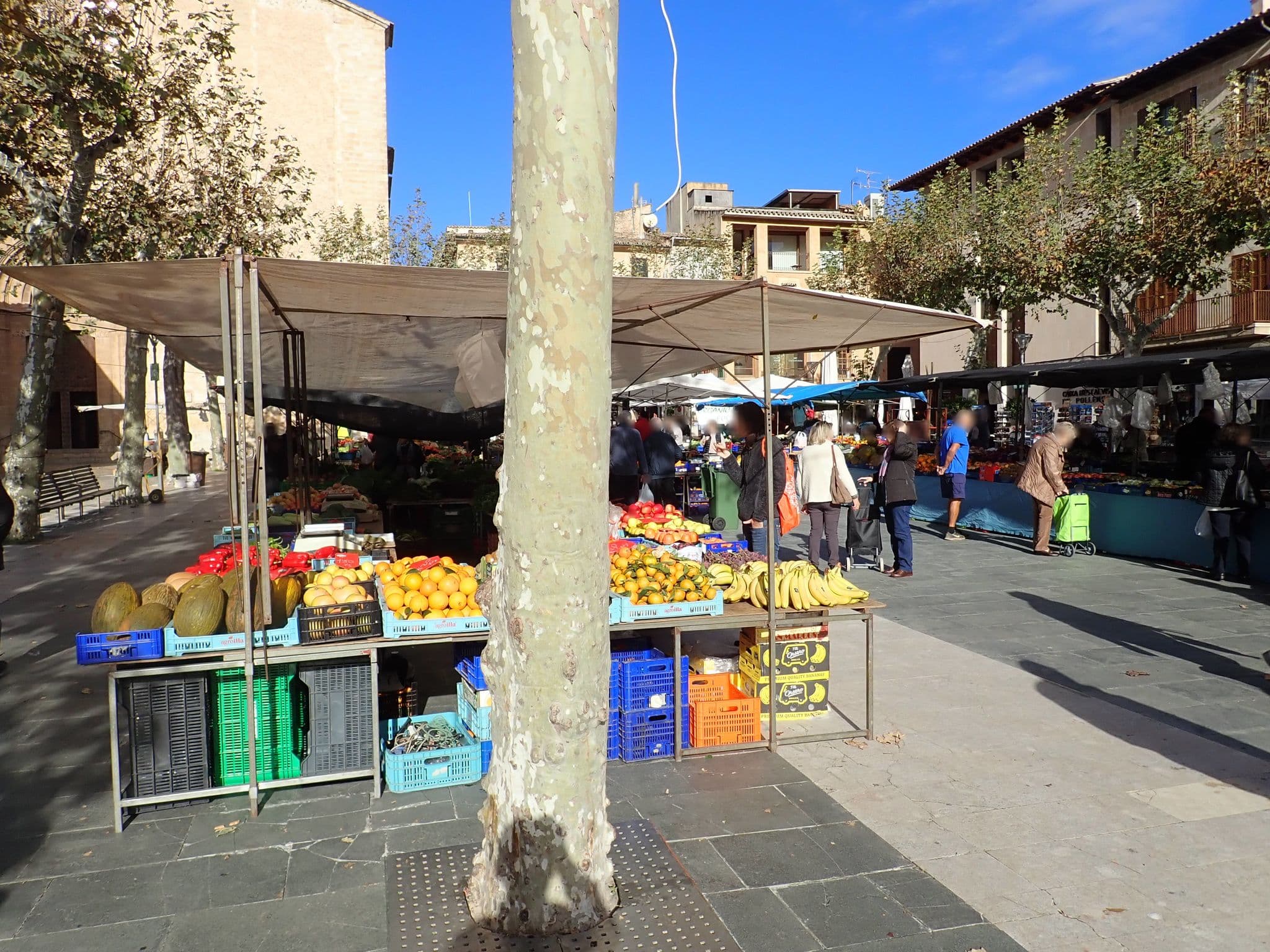 Street view near Juma, Pollença — © elgaard (CC BY-SA · Mapillary)