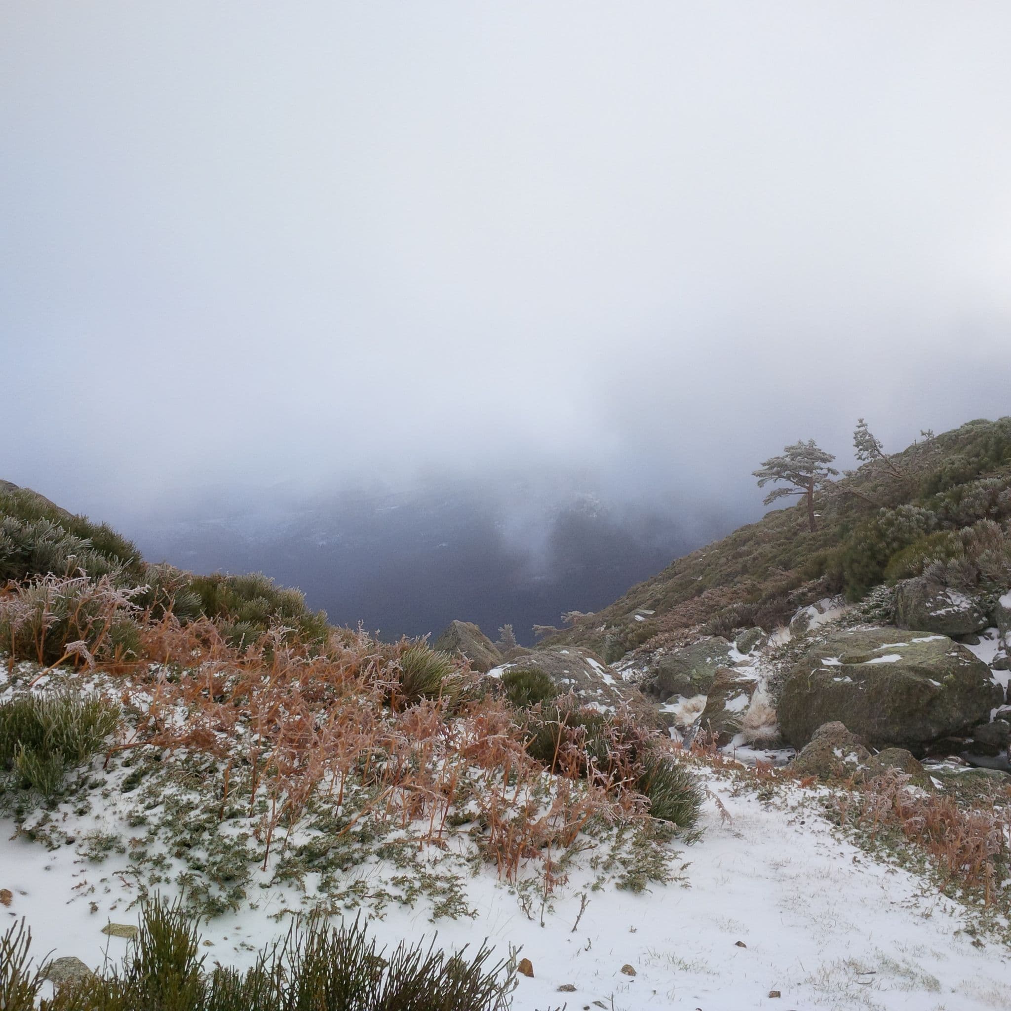 Street view near Choza del Guarda, San Ildefonso — © carlosz22 (CC BY-SA · Mapillary)