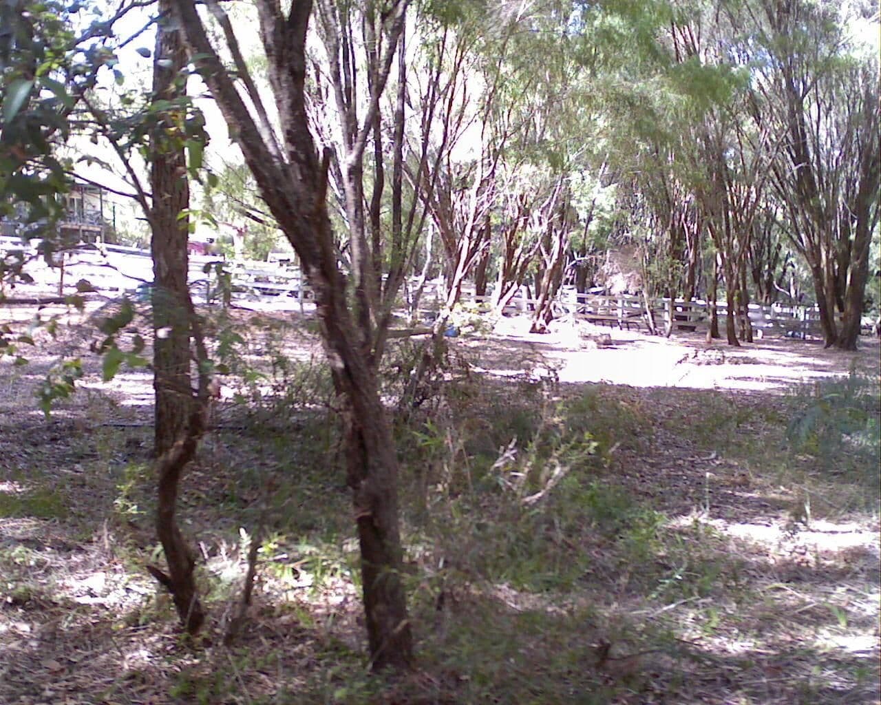 Street view near Round Tuit Campground, Pemberton — © bob3bob3 (CC BY-SA · Mapillary)
