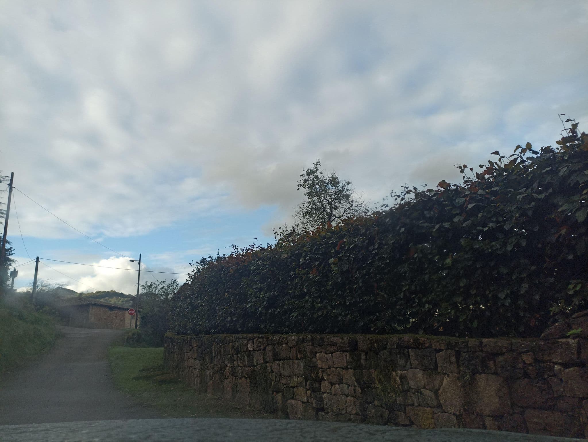 Street view near Casa de la Veiga Hotel Rural, Grado — © toniserra (CC BY-SA · Mapillary)