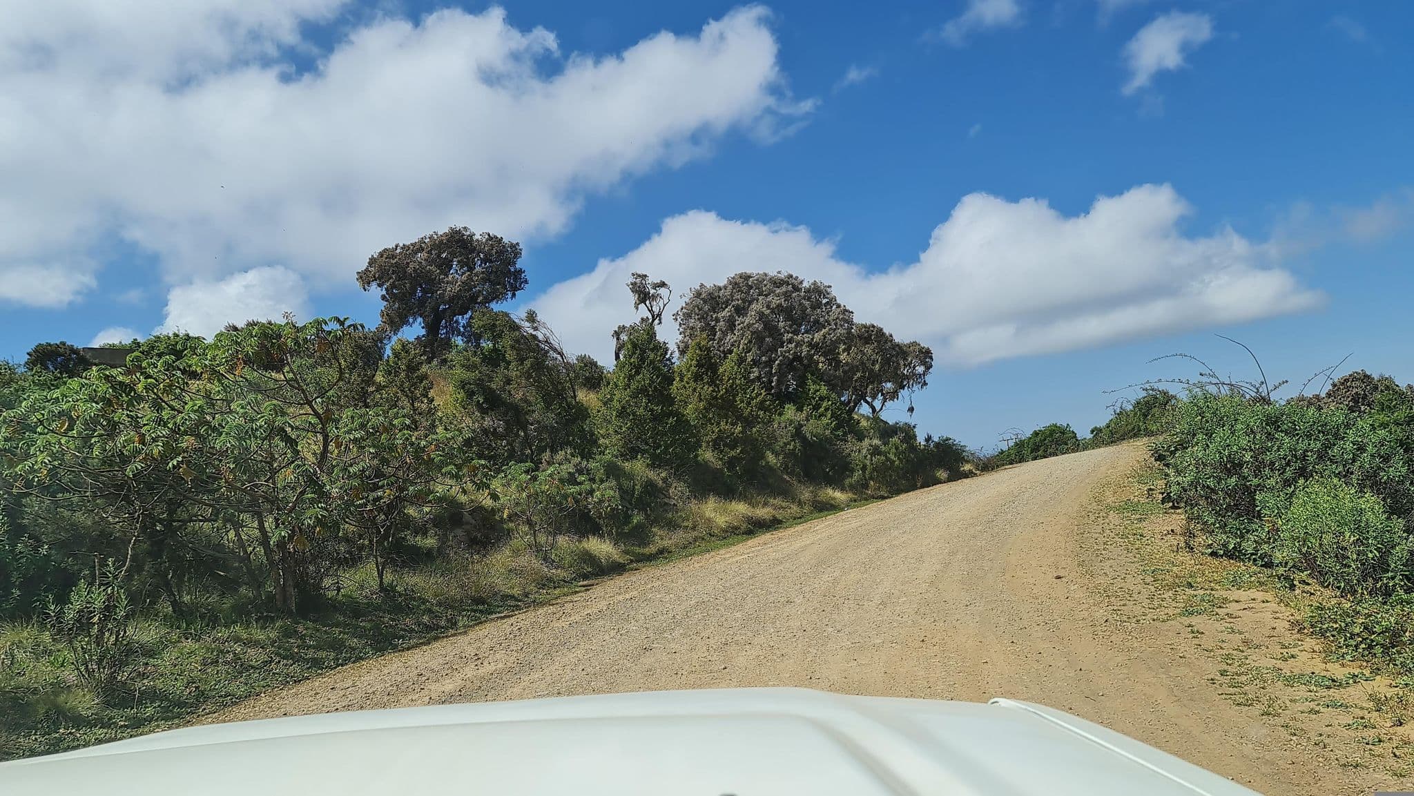 Street view near Simien Mountain Lodge, Debark’ — © solomondemeke (CC BY-SA · Mapillary)