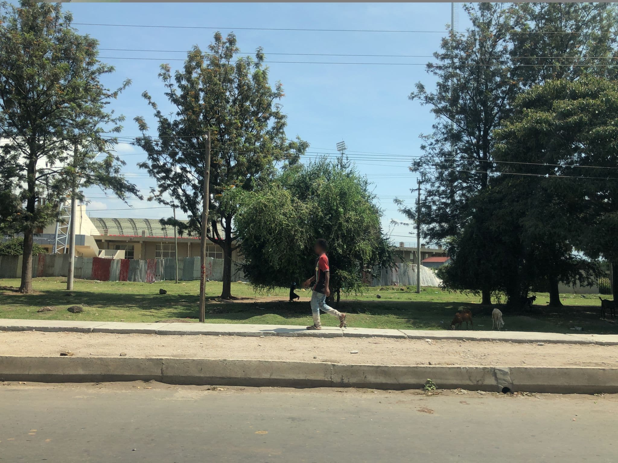 Street view near Awassa Kebron Park Hotel, Awasa — © mtnbiker (CC BY-SA · Mapillary)