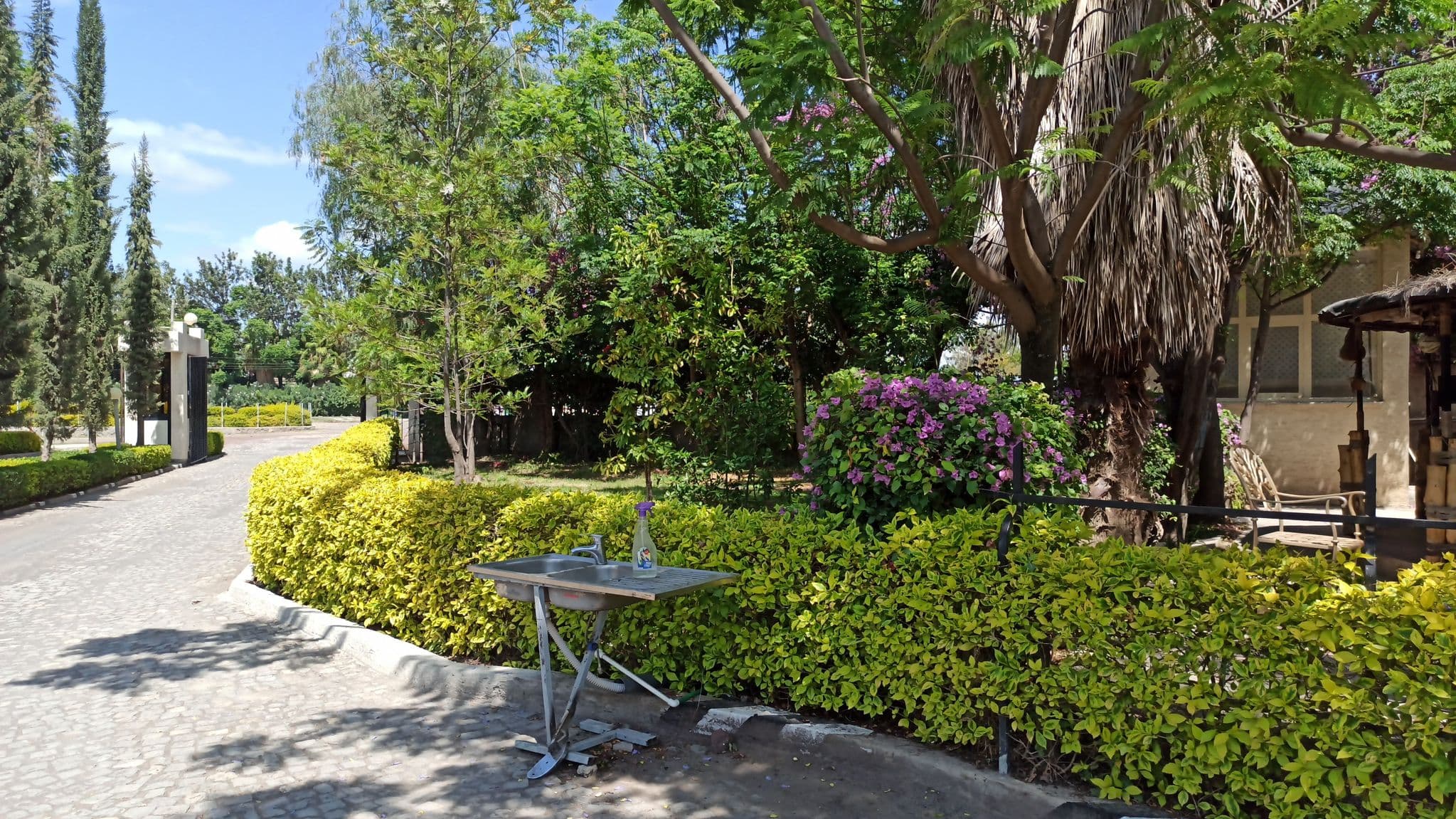 Street view near Haile Resort, Ziway — © nathyk (CC BY-SA · Mapillary)