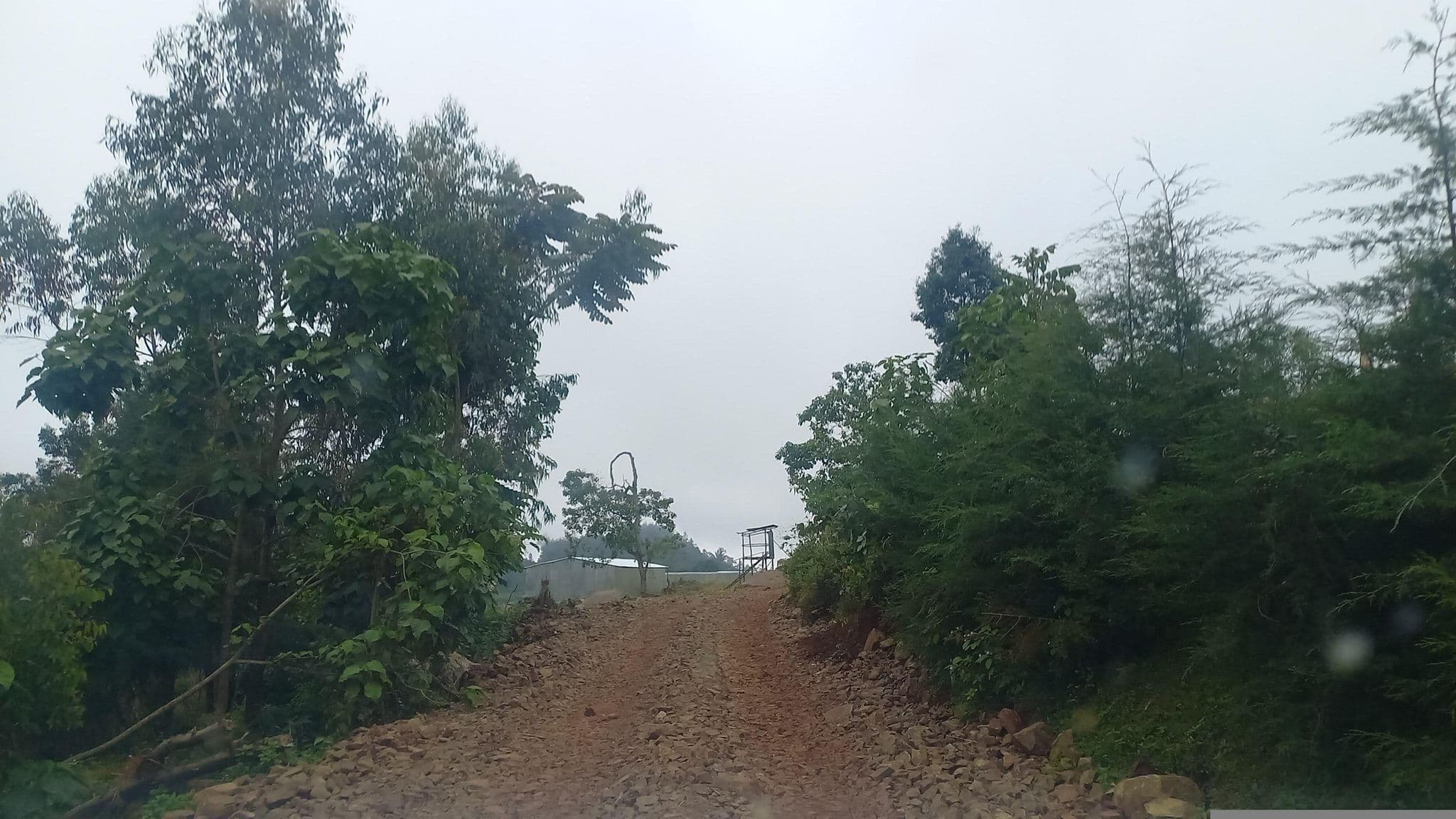 Street view near Dorze Family Lodge, Ch’ench’a — © Amirety (CC BY-SA · Mapillary)