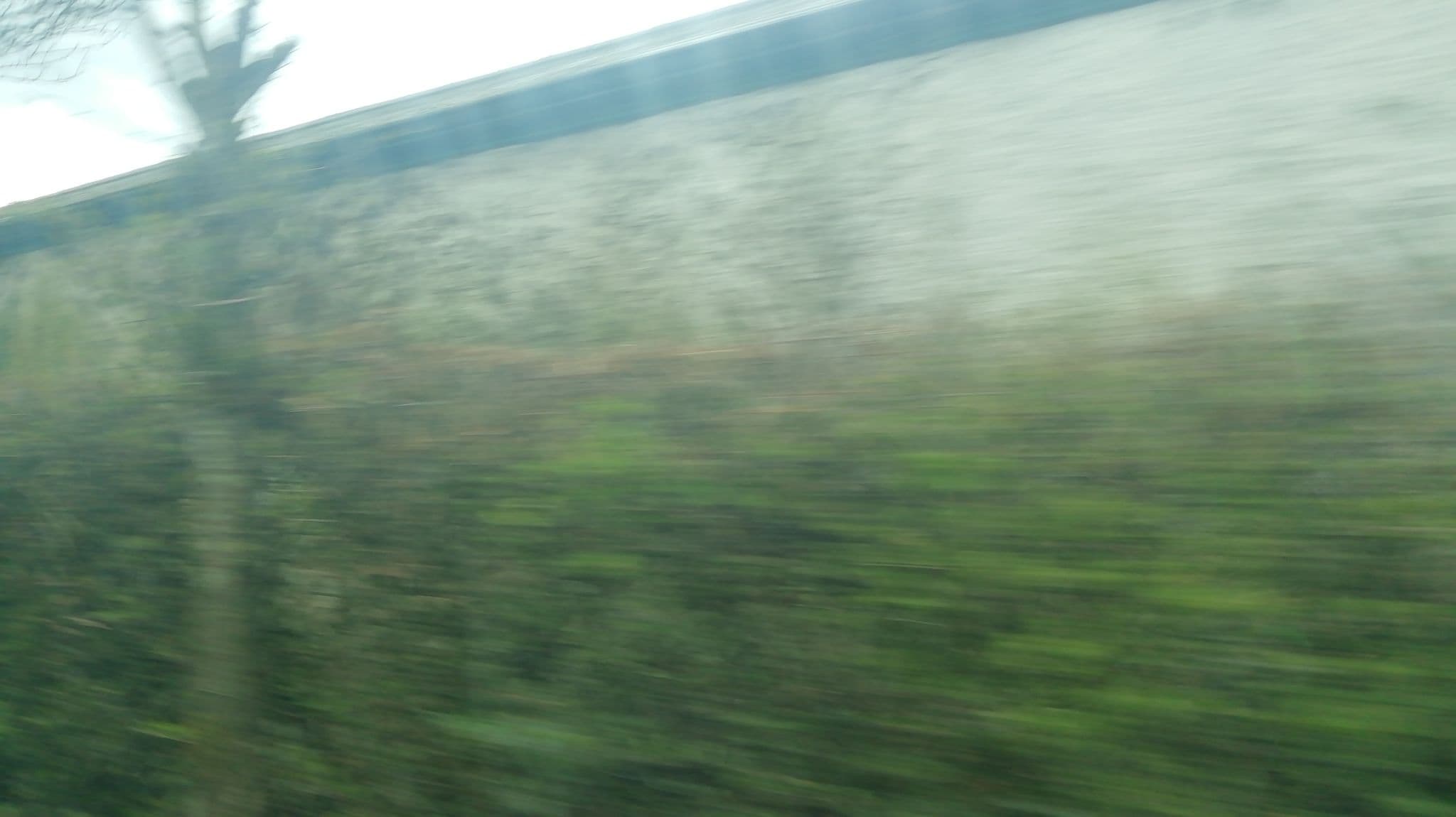 Street view near Ballinagappa House, Clane — © fulphiller (CC BY-SA · Mapillary)