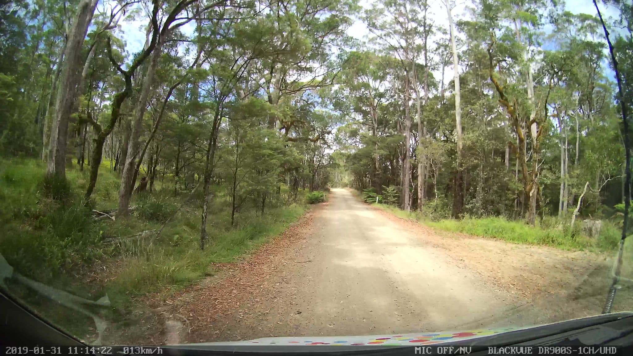Street view near Toms Cabin, Dorrigo — © bob3bob3 (CC BY-SA · Mapillary)