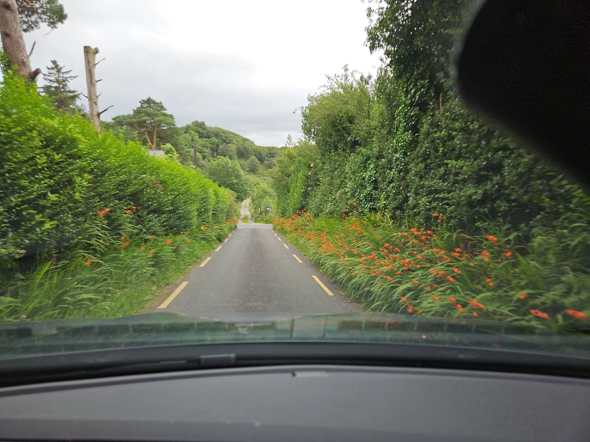 Street view near Climbers Inn Camping, Killorglin — © toho (CC BY-SA · Mapillary)