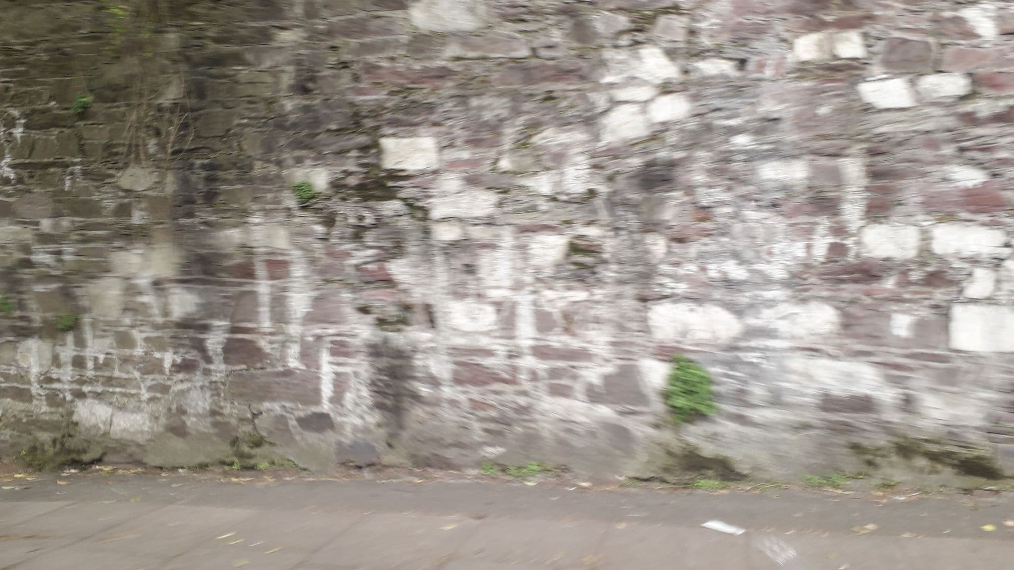 Street view near Ardara House, Cork — © lineo (CC BY-SA · Mapillary)