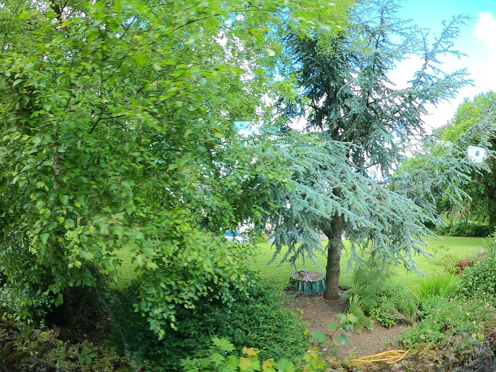 Street view near Abbey House B & B, Thomastown — © annekaro (CC BY-SA · Mapillary)