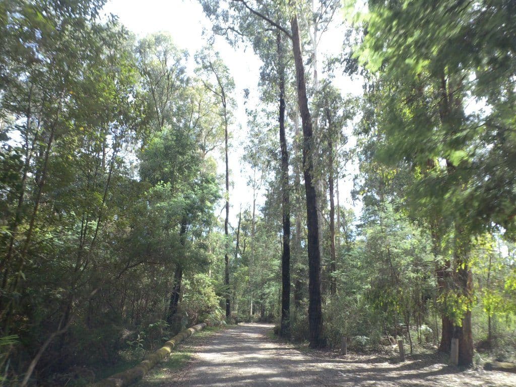 Street view near The Gums Campground, Kinglake — © mander (CC BY-SA · Mapillary)