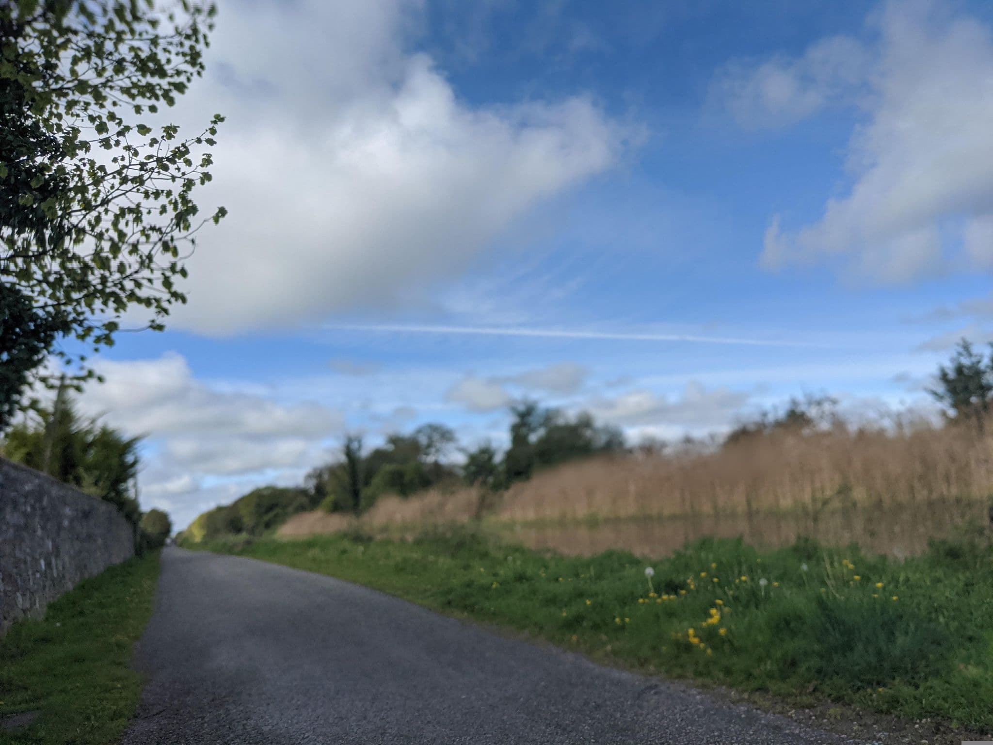 Street view near Cliff At Lyons, Newcastle — © tsfx (CC BY-SA · Mapillary)
