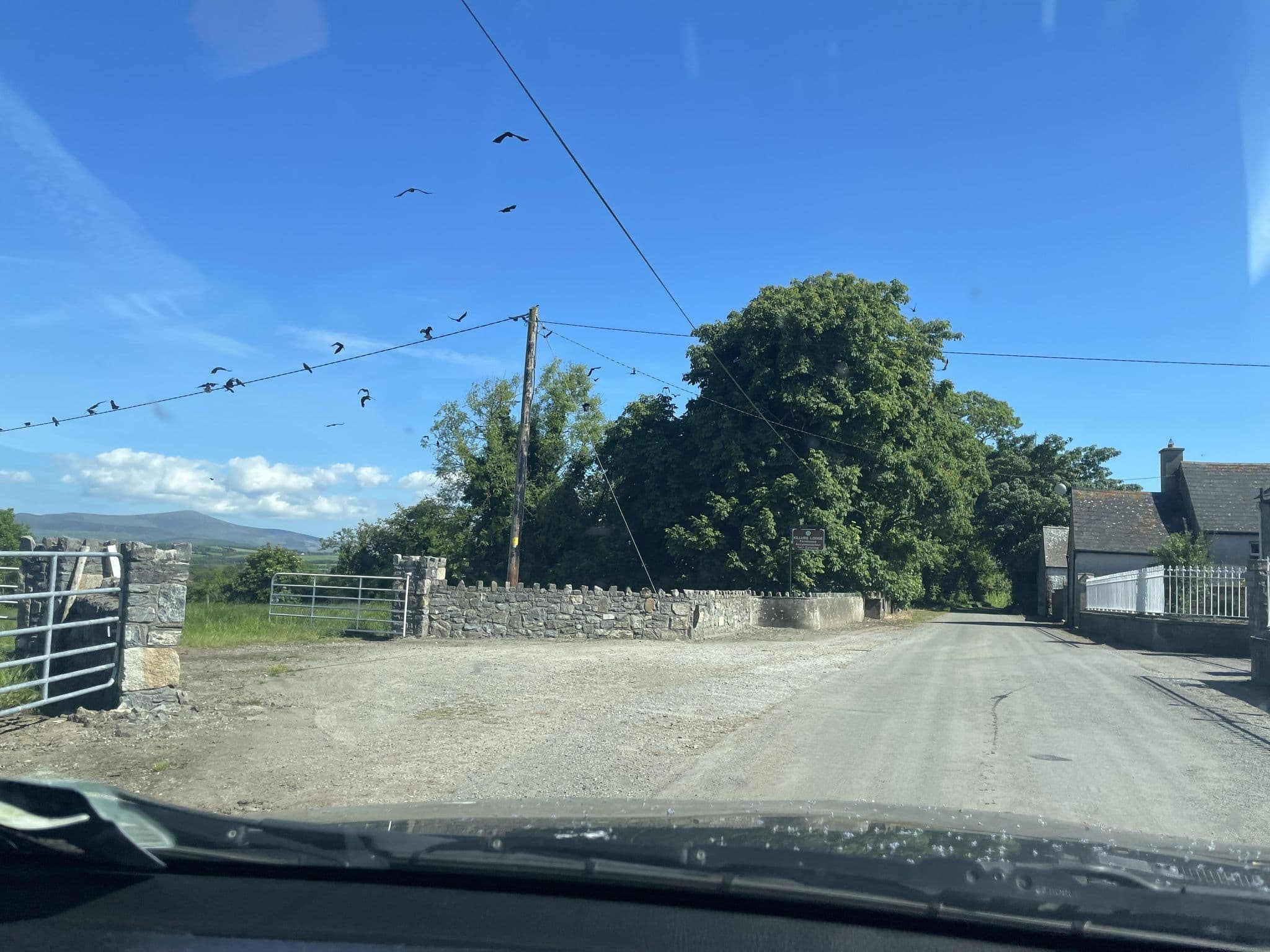 Street view near Killure Lodge, Bagenalstown — © debigc (CC BY-SA · Mapillary)