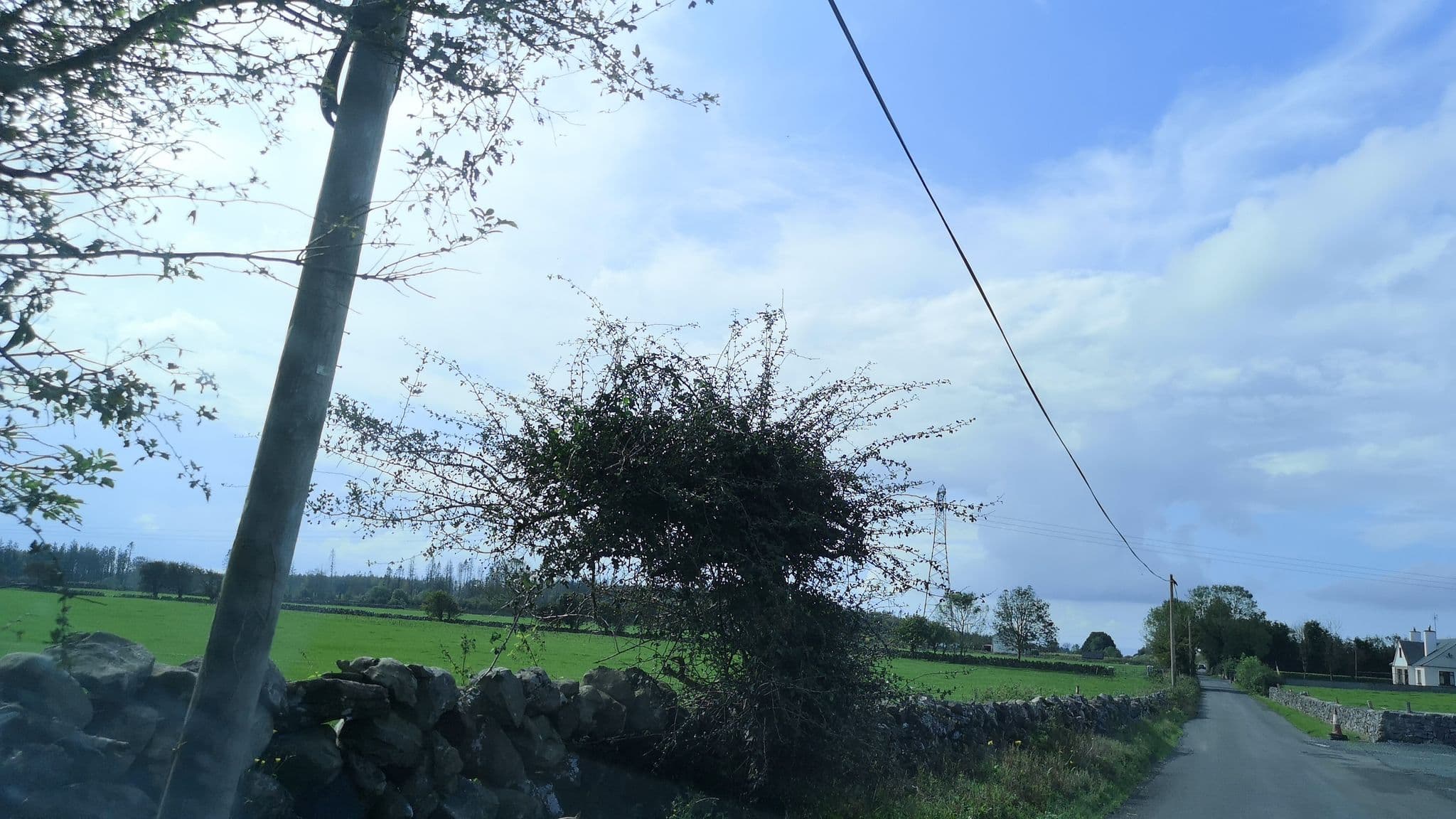Street view near Creva Guest House, Athenry — © dacor (CC BY-SA · Mapillary)