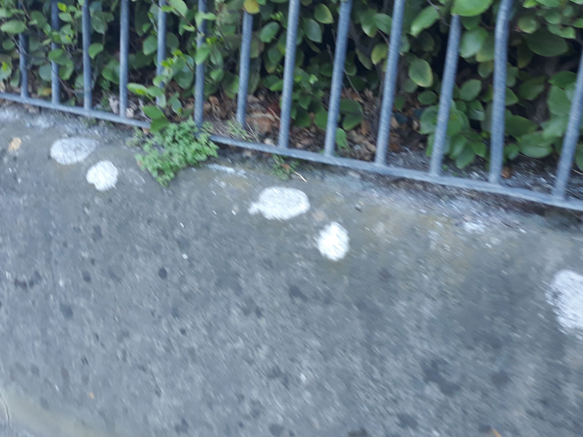 Street view near Grand Hotel, Malahide — © maxometer (CC BY-SA · Mapillary)