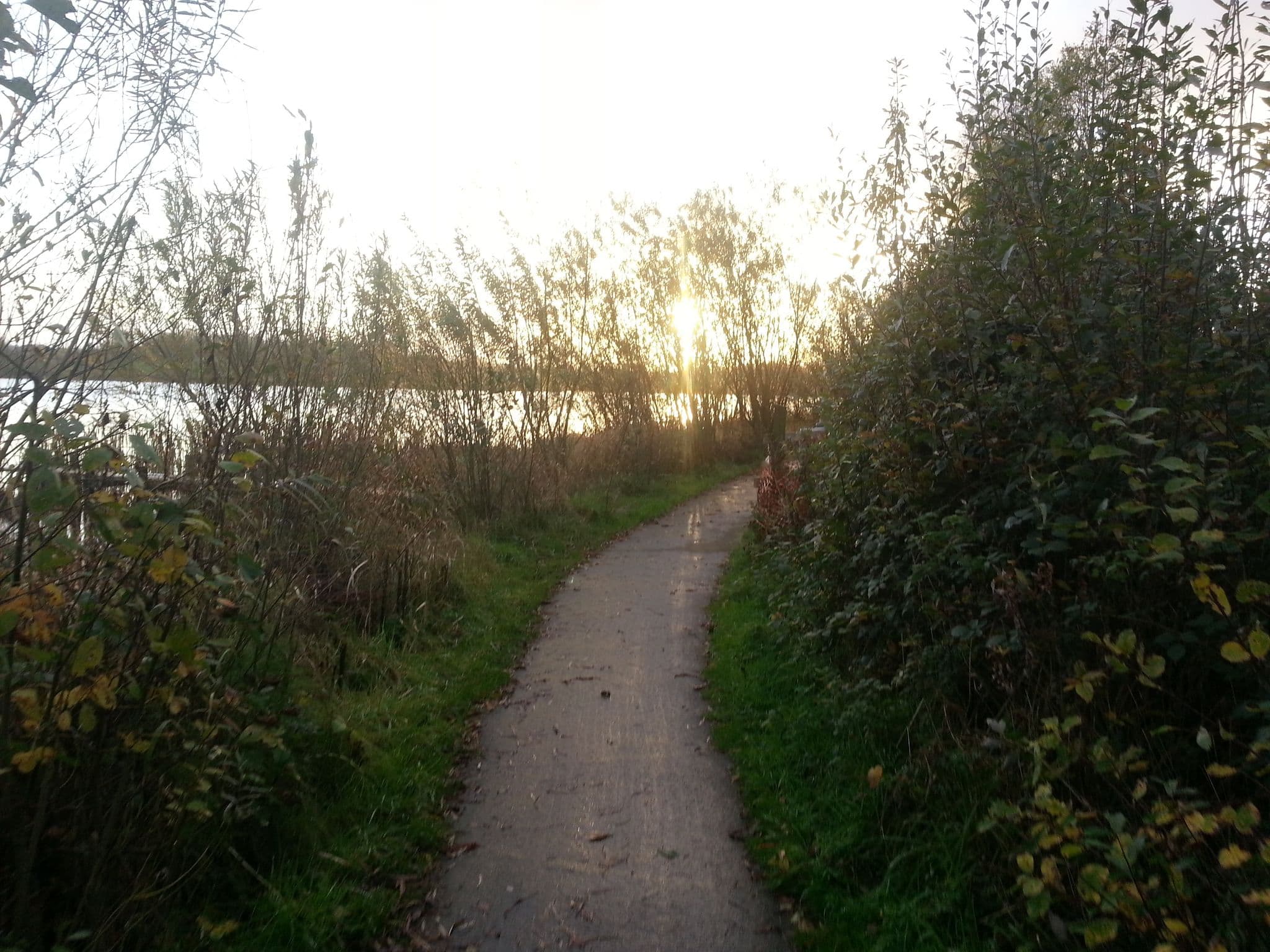 Street view near Leander Lodge, Clones — © mcda (CC BY-SA · Mapillary)