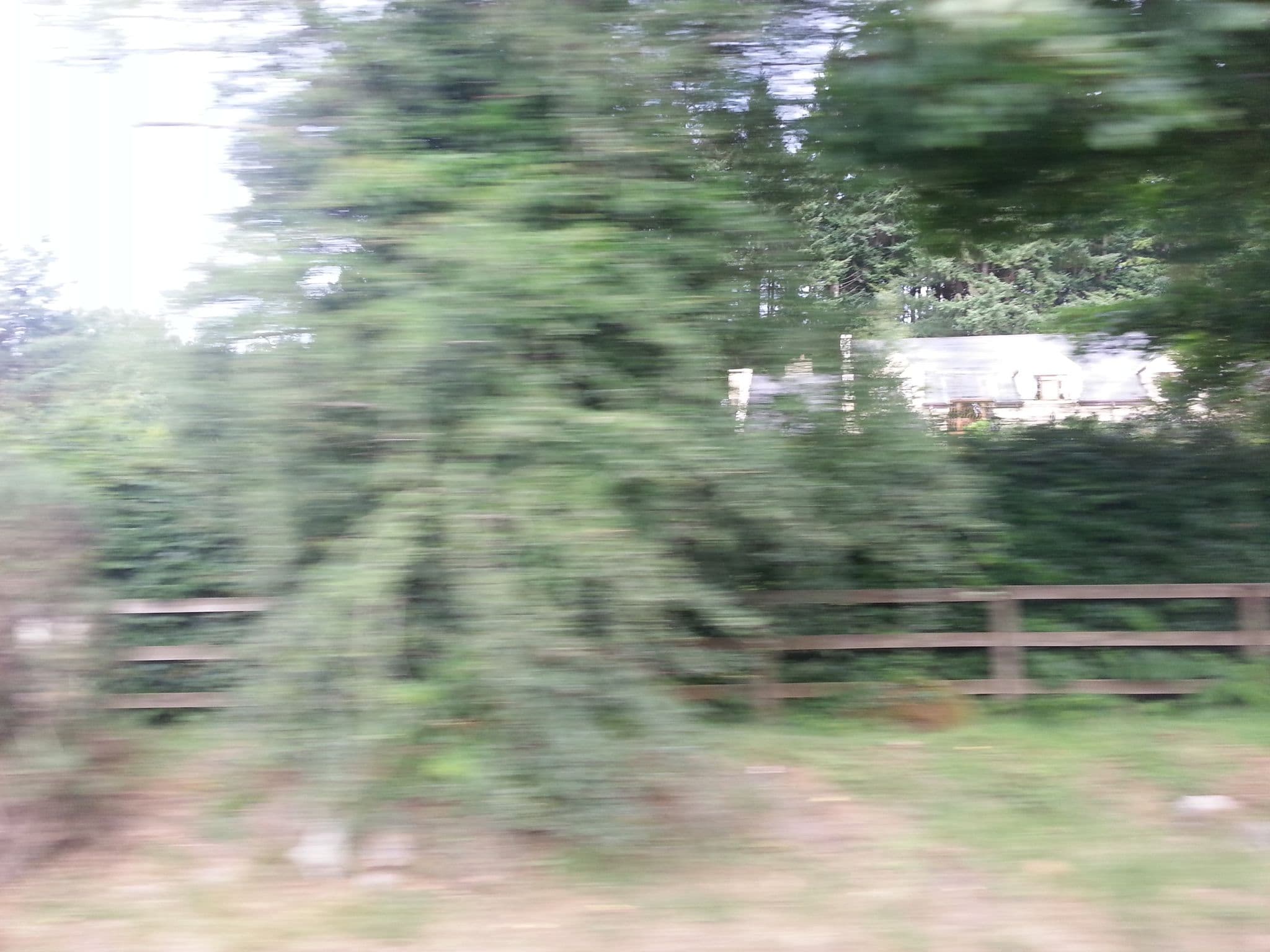 Street view near Trooperstown Wood Lodge, Rathdrum — © pbb (CC BY-SA · Mapillary)