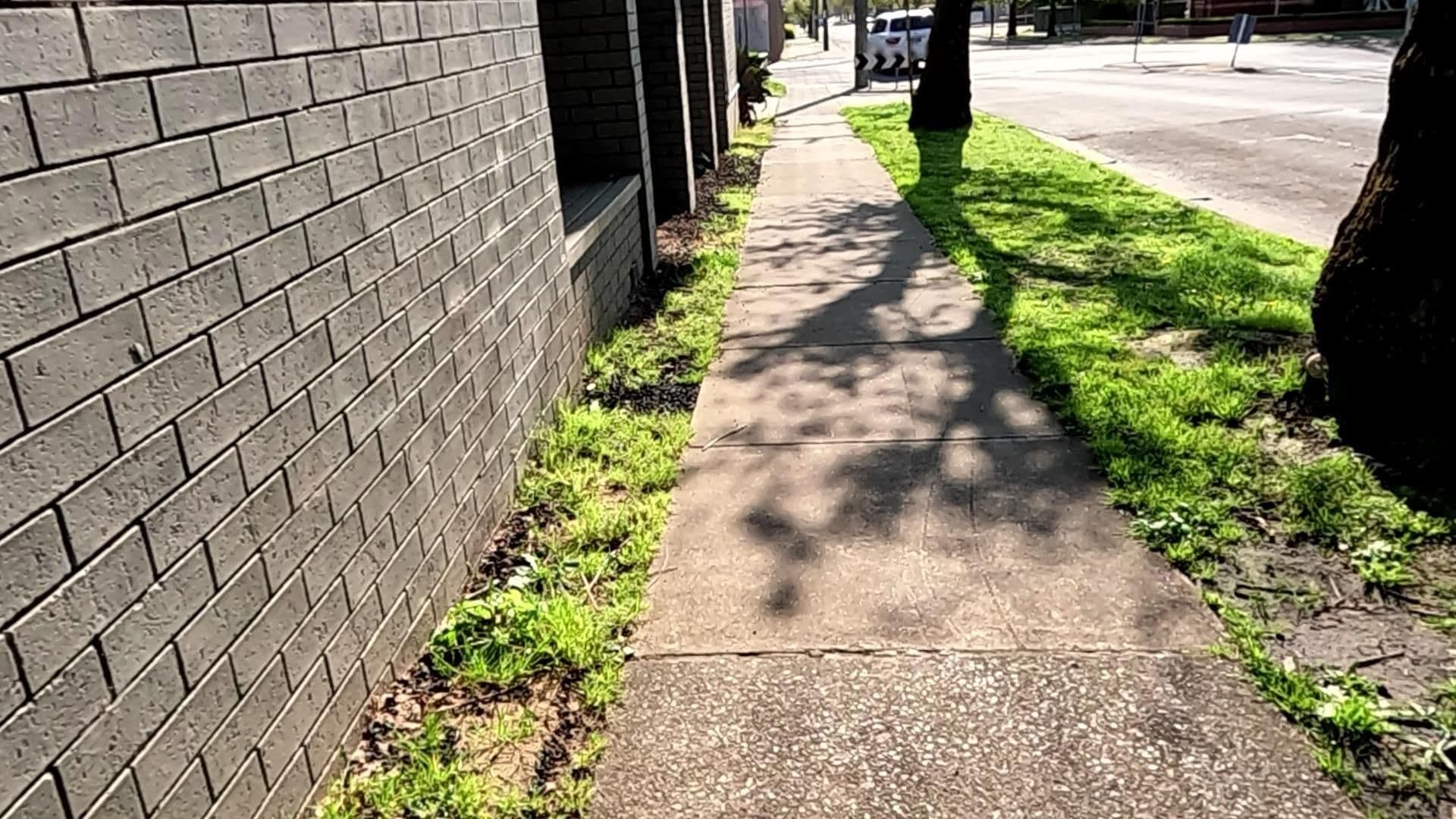 Street view near Comfort Inn Botanical, Hamilton — © SGSC_RACAS_FOOTPATH (CC BY-SA · Mapillary)