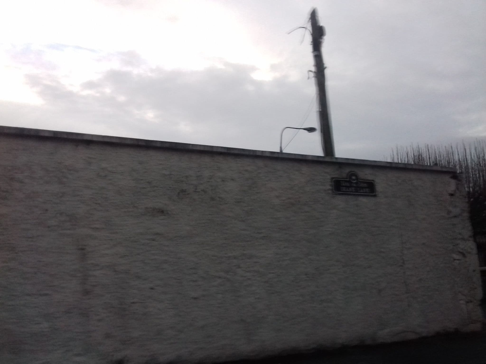 Street view near Bibi's Hostel, Tralee — © debigc (CC BY-SA · Mapillary)