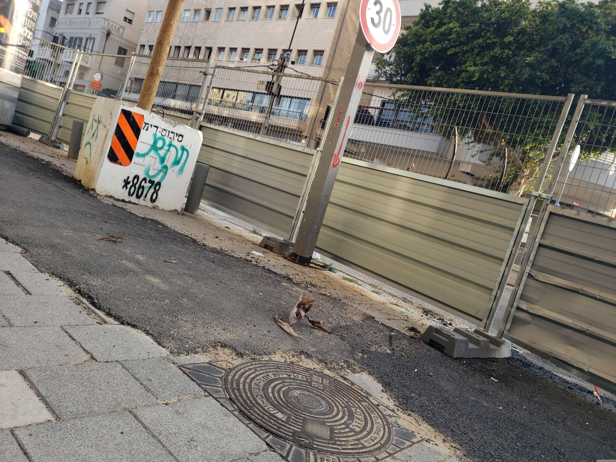Street view near Arcadia Tower Hotel, Tel Aviv — © mapfool (CC BY-SA · Mapillary)