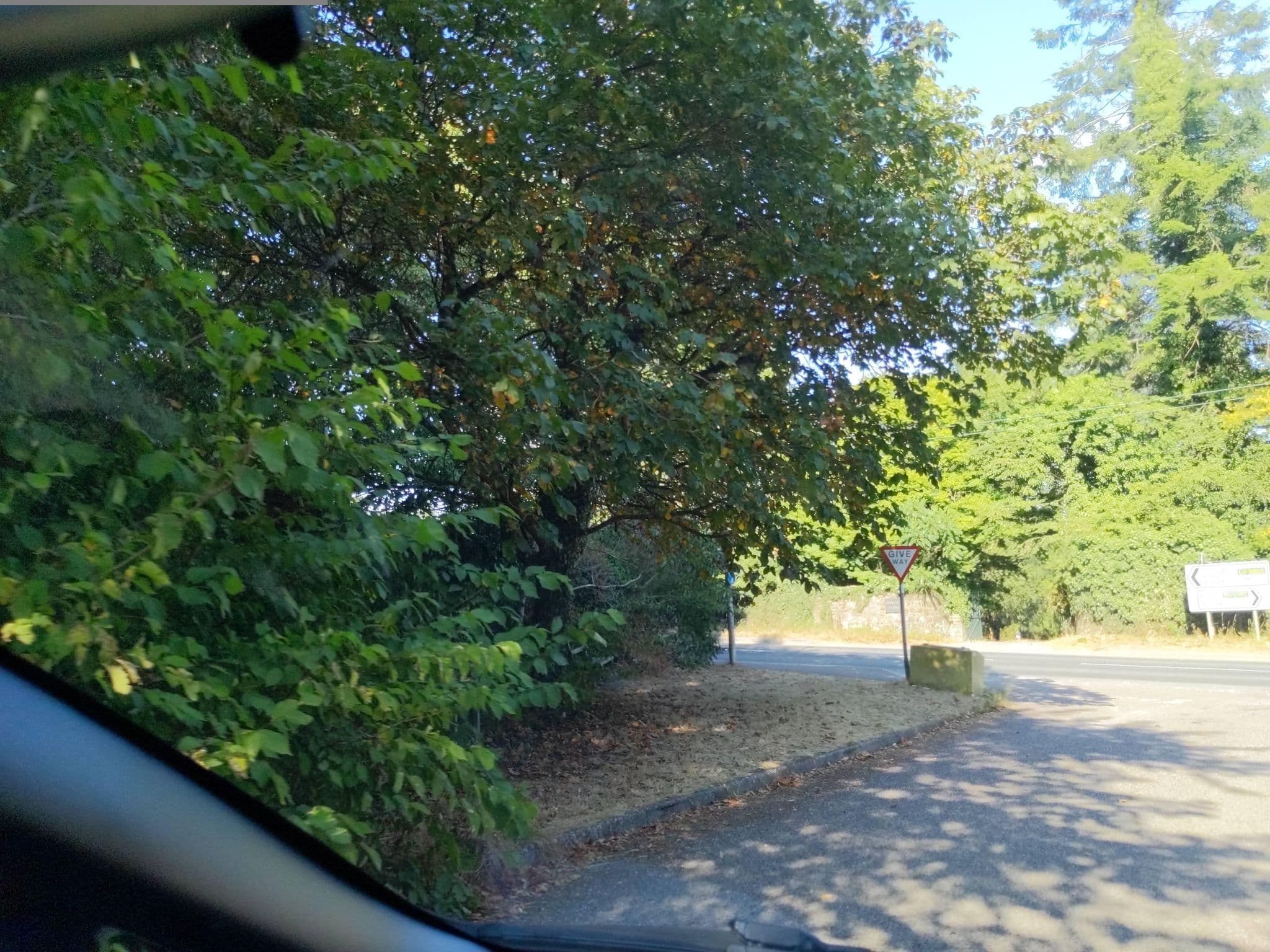 Street view near The Old Parsonage Bed & Breakfast, Winkleigh — © WaggyDog (CC BY-SA · Mapillary)