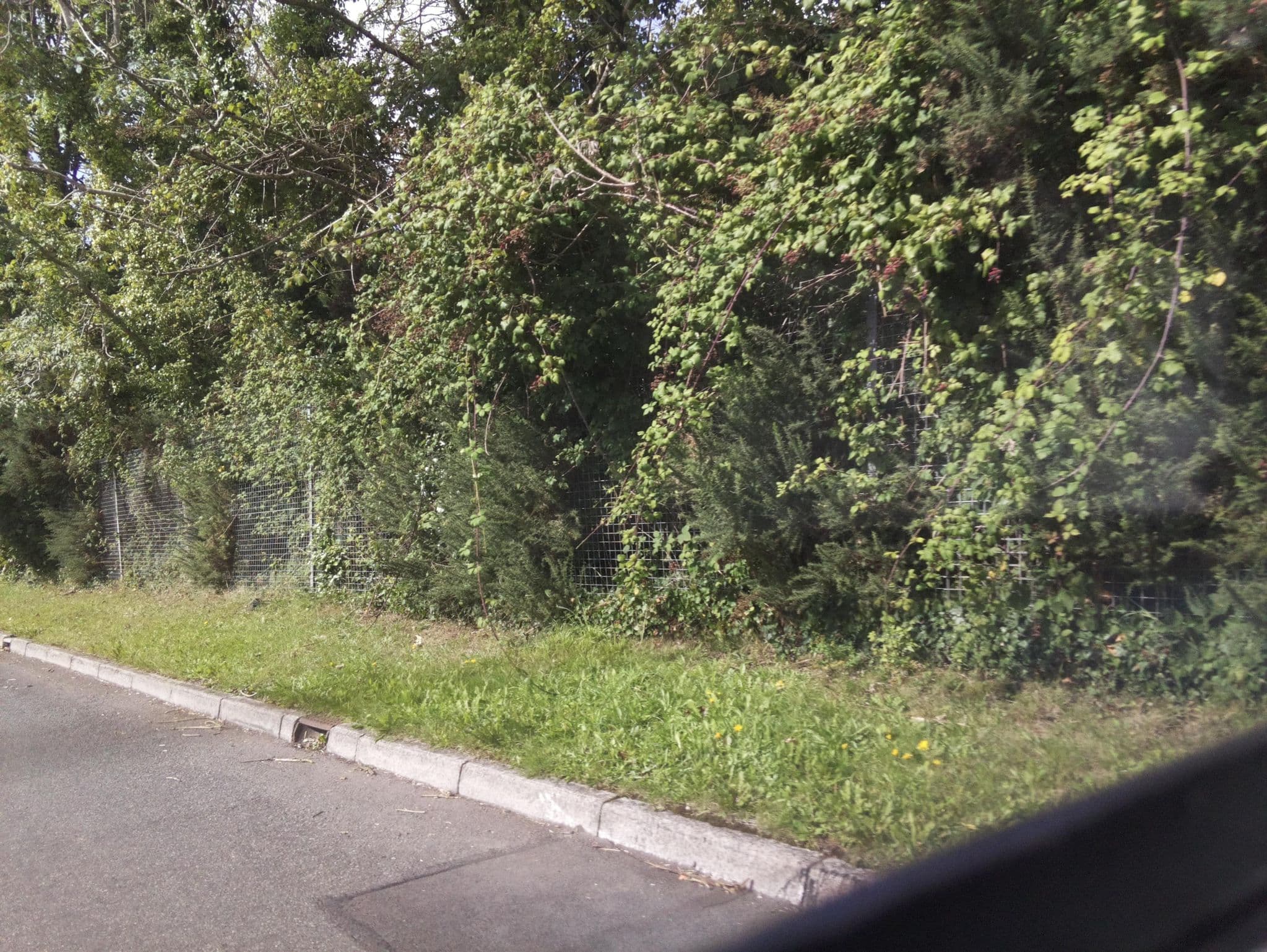 Street view near The Solar Strand, Risca — © southglos (CC BY-SA · Mapillary)