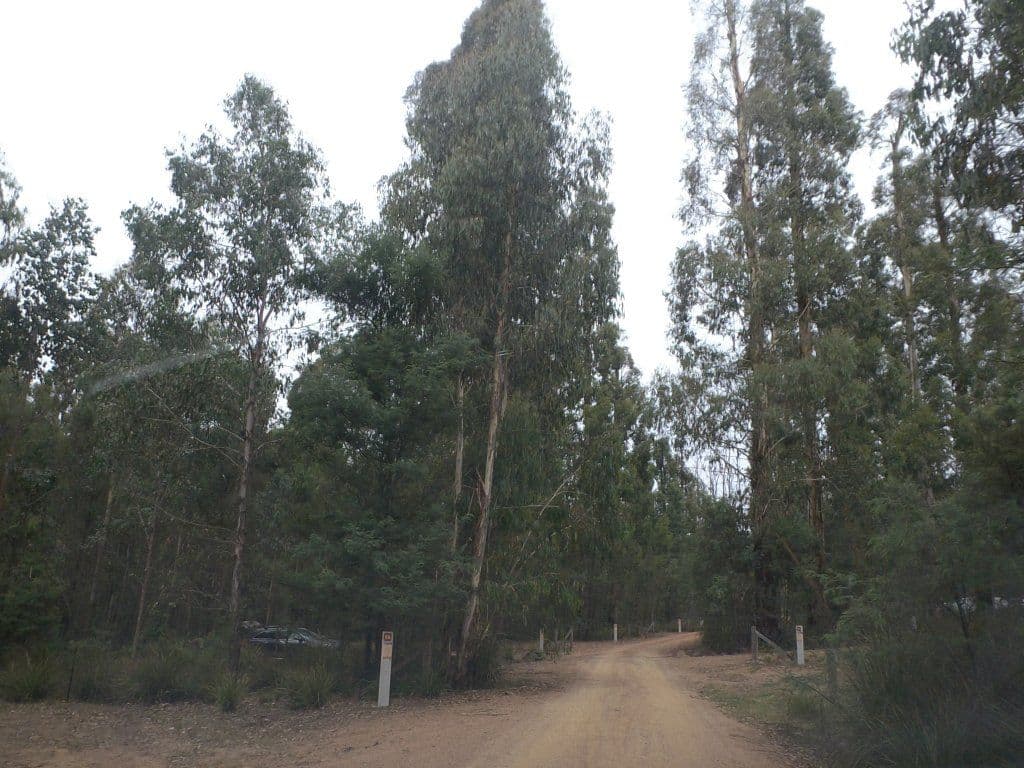 Street view near Bull Creek Camp, Kinglake — © mander (CC BY-SA · Mapillary)